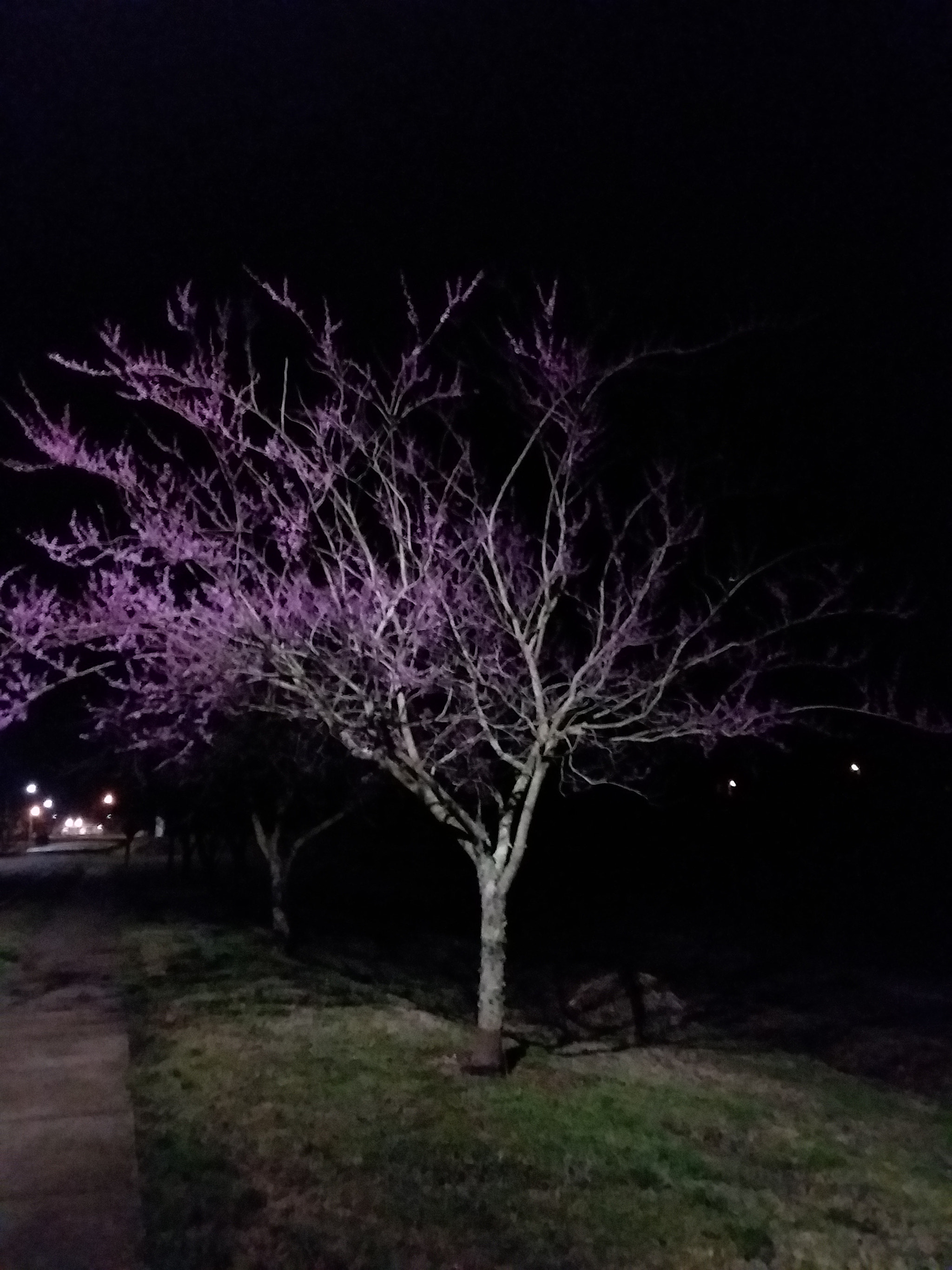 Samsung Galaxy J7 Pop sample photo. Late night walk photography