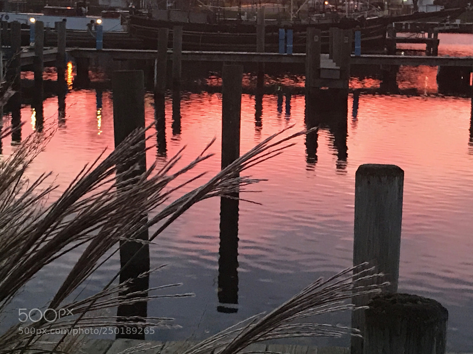 Apple iPhone 7 sample photo. Arise and reflect photography