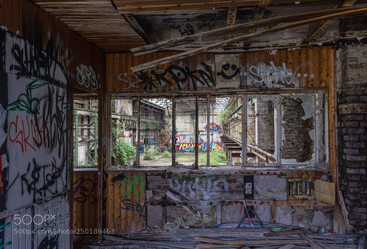 Sony a7 II sample photo. Kontrolle verloren photography