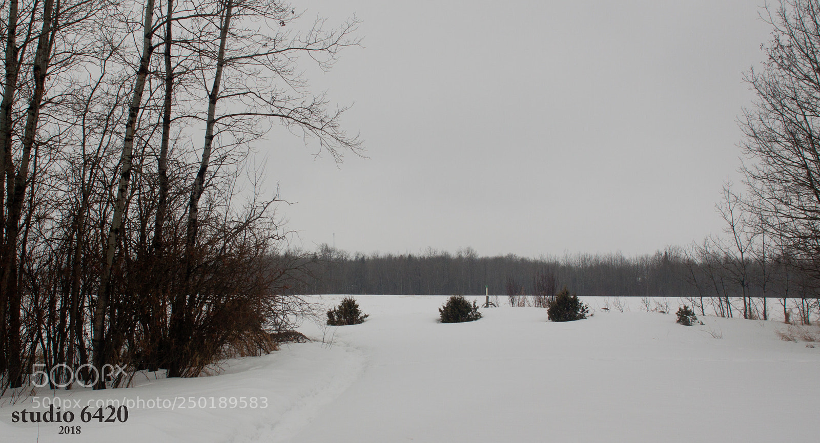 Canon EOS 50D sample photo. A dreary day photography