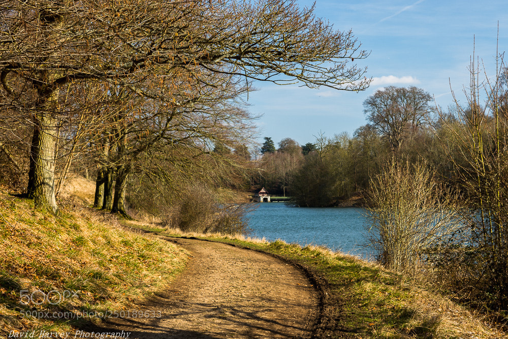 Nikon D7200 sample photo. The boathouse blenheim photography