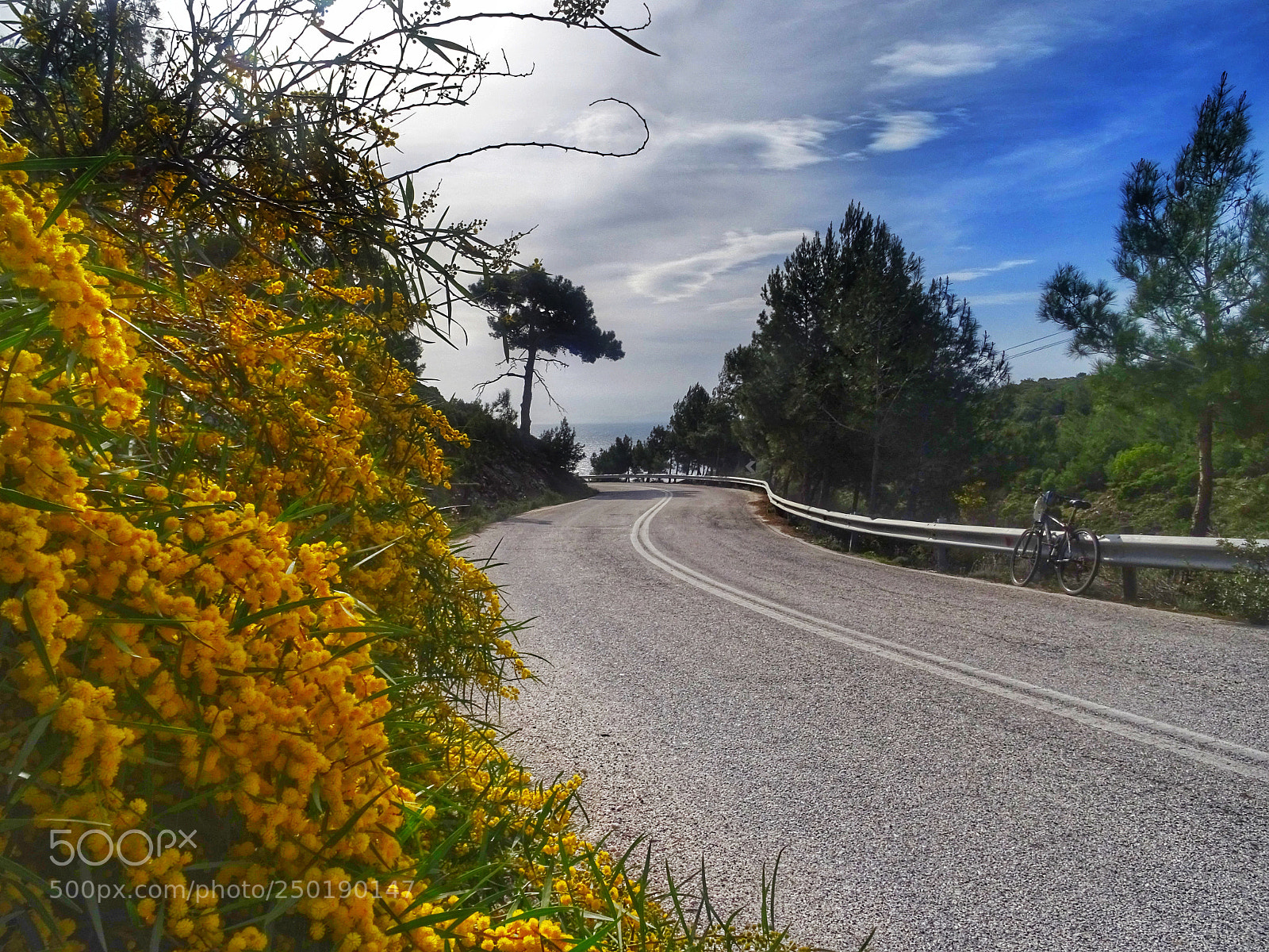 Sony DSC-HX60 sample photo. Colorful road photography
