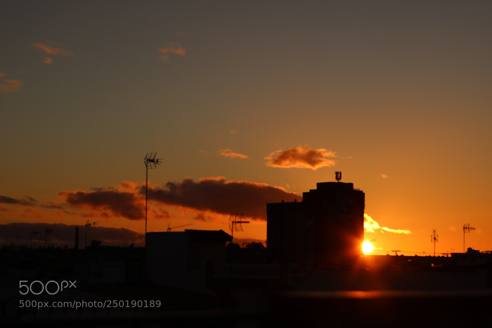 Canon EOS 750D (EOS Rebel T6i / EOS Kiss X8i) sample photo. Fired sunset
 photography