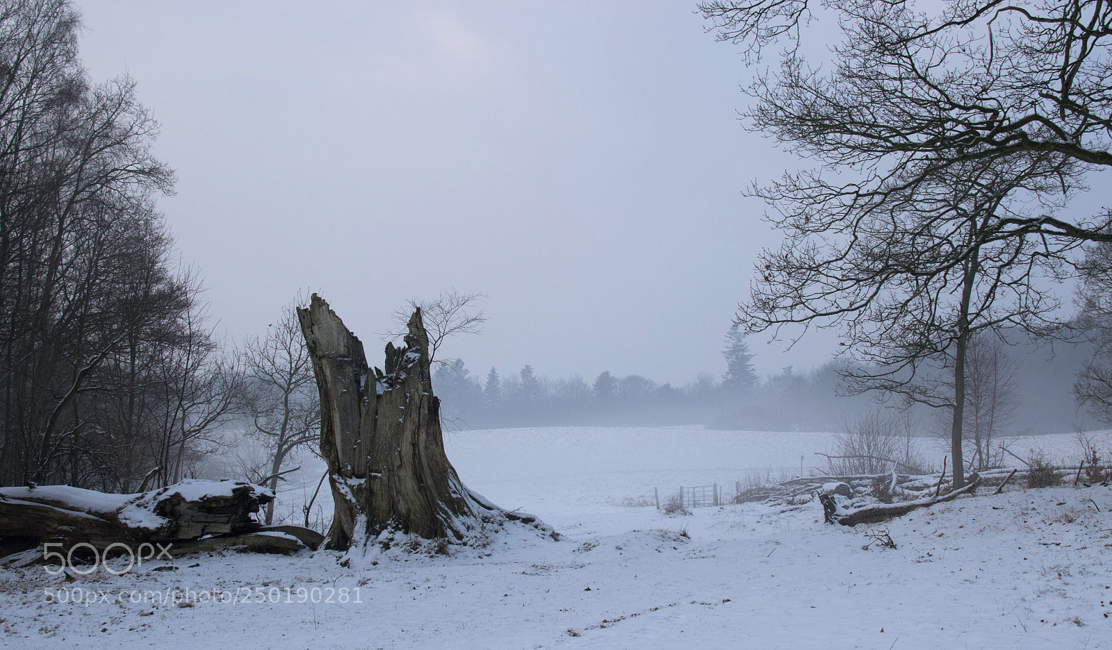 Nikon D3300 sample photo. Winter never ends... photography