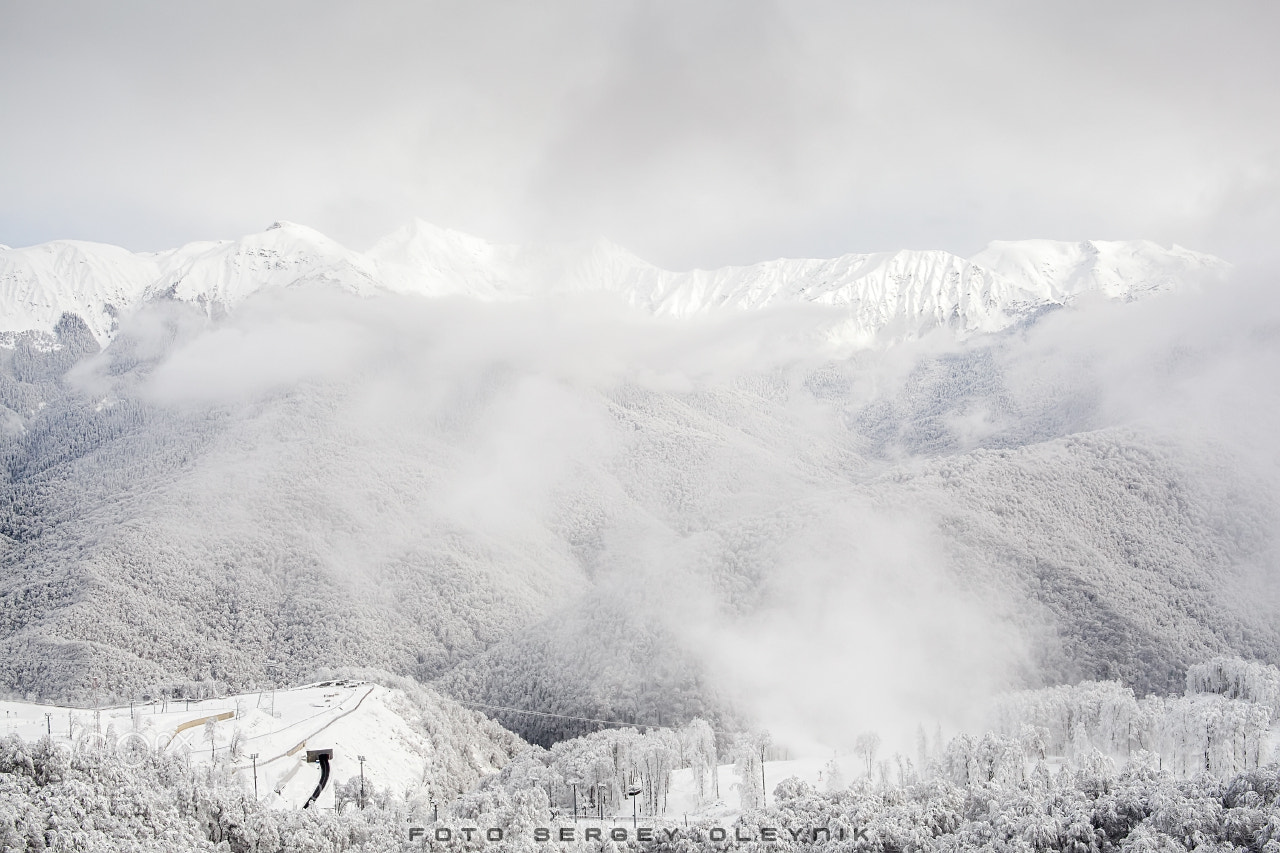 Canon EOS 5D Mark II sample photo. Winter's tale photography