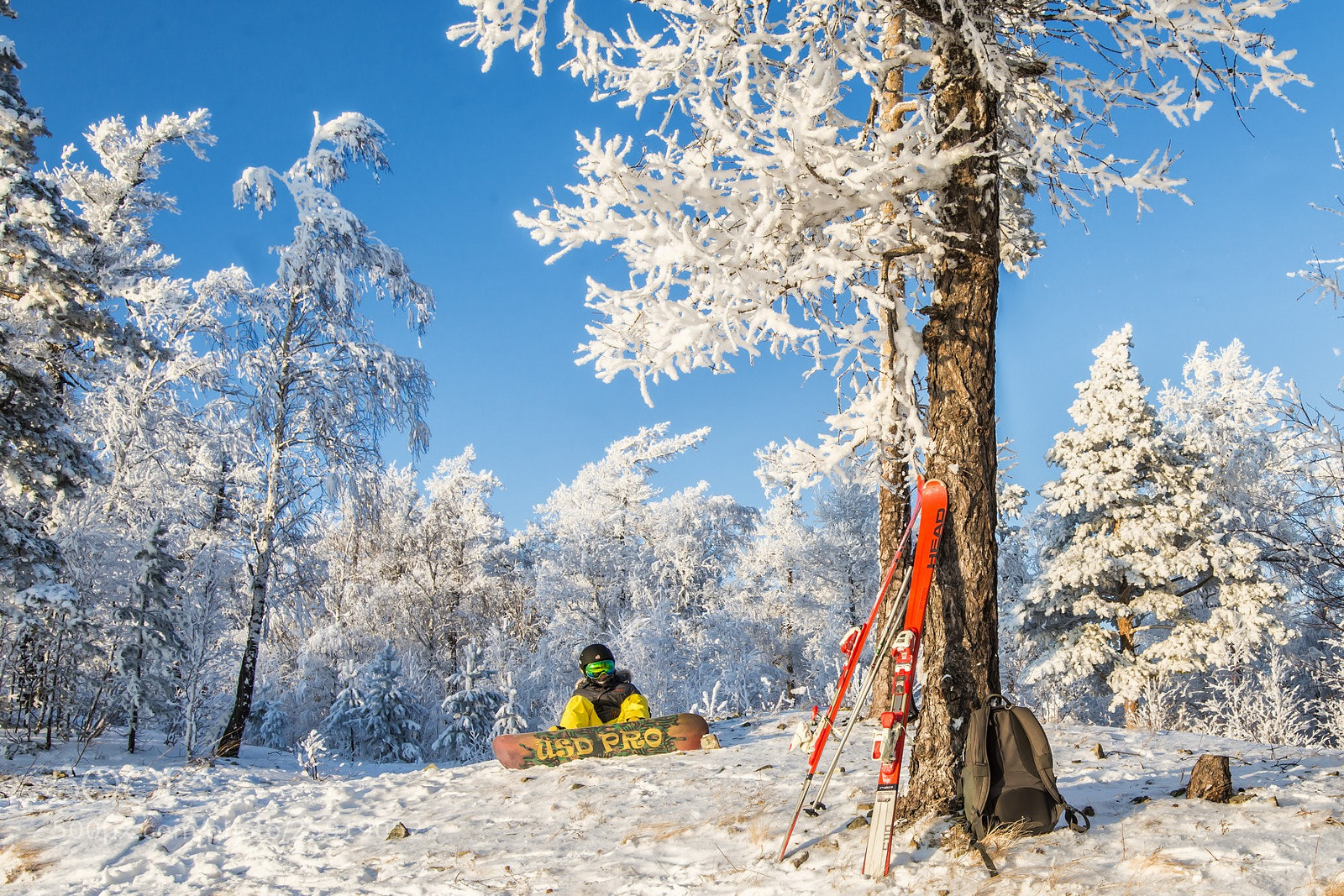 Nikon D800 sample photo. Winter day in the photography