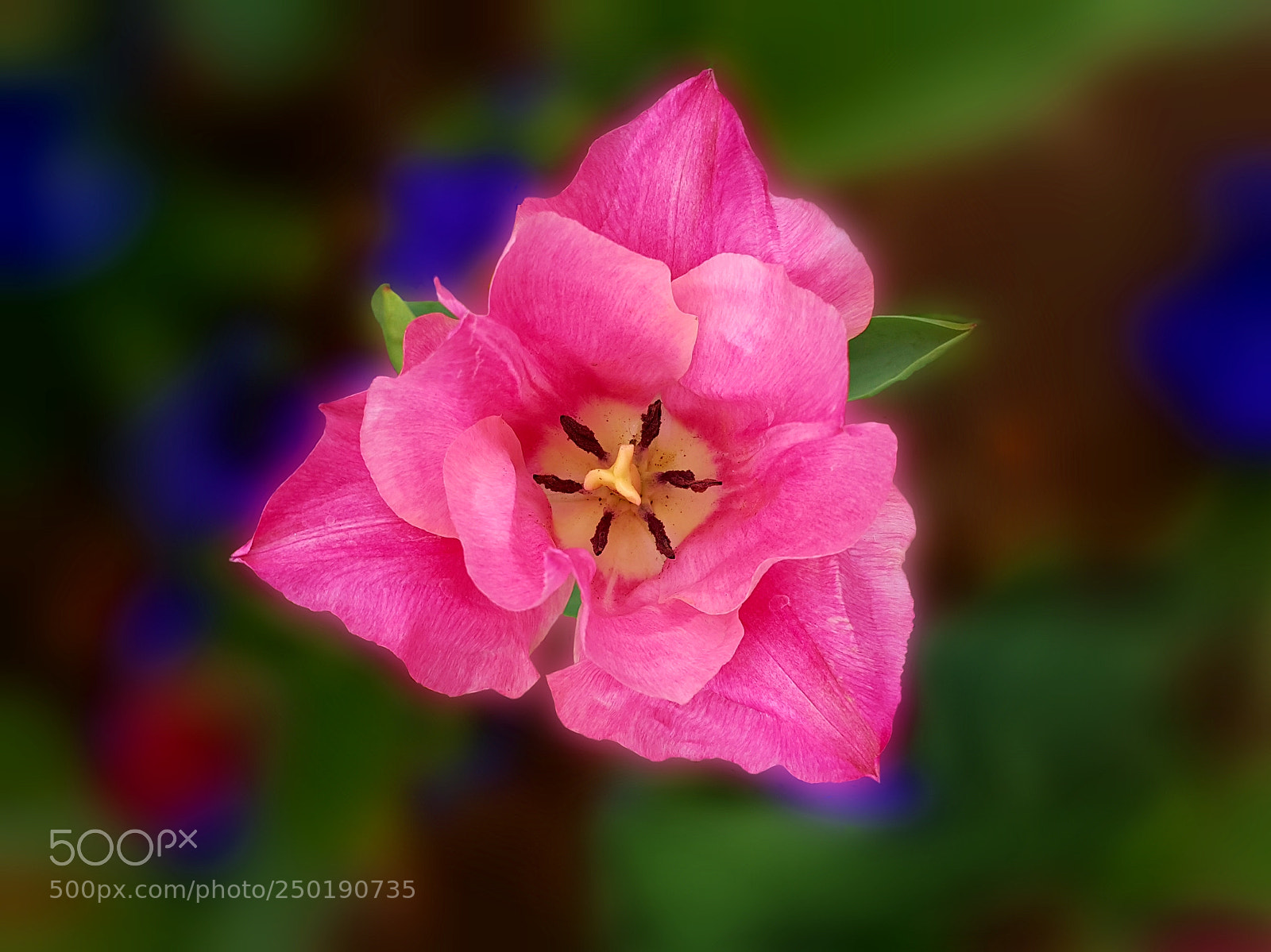 Samsung Galaxy Note4 sample photo. 273 photography