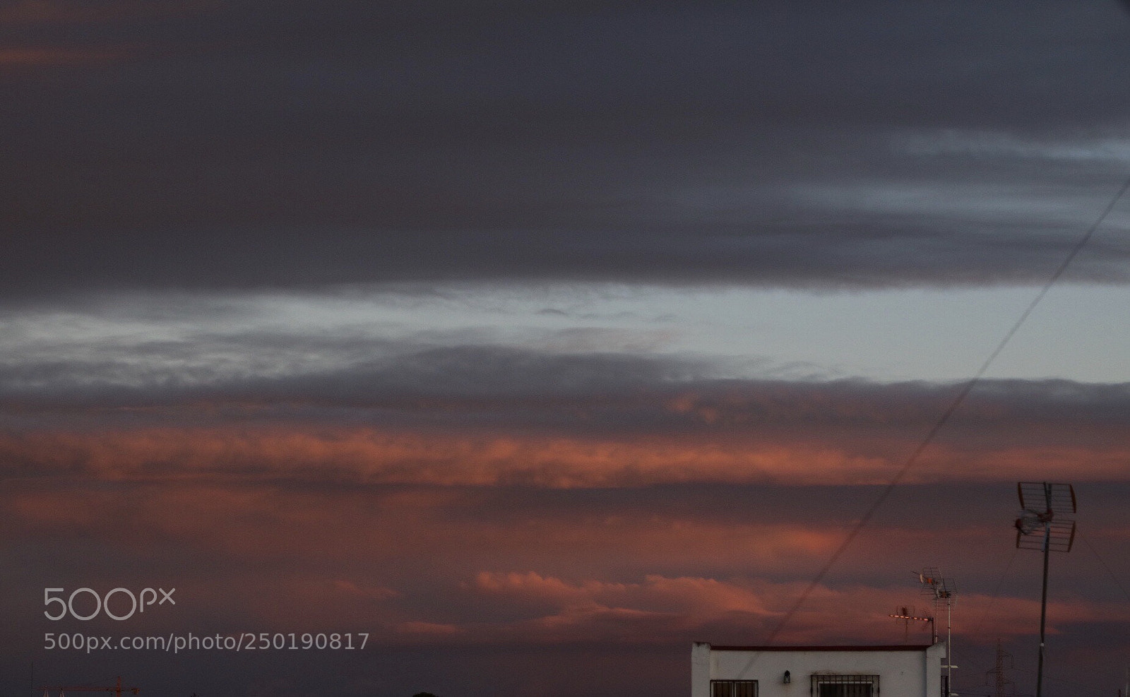 Canon EOS 750D (EOS Rebel T6i / EOS Kiss X8i) sample photo. Blush tones
march.2018 photography