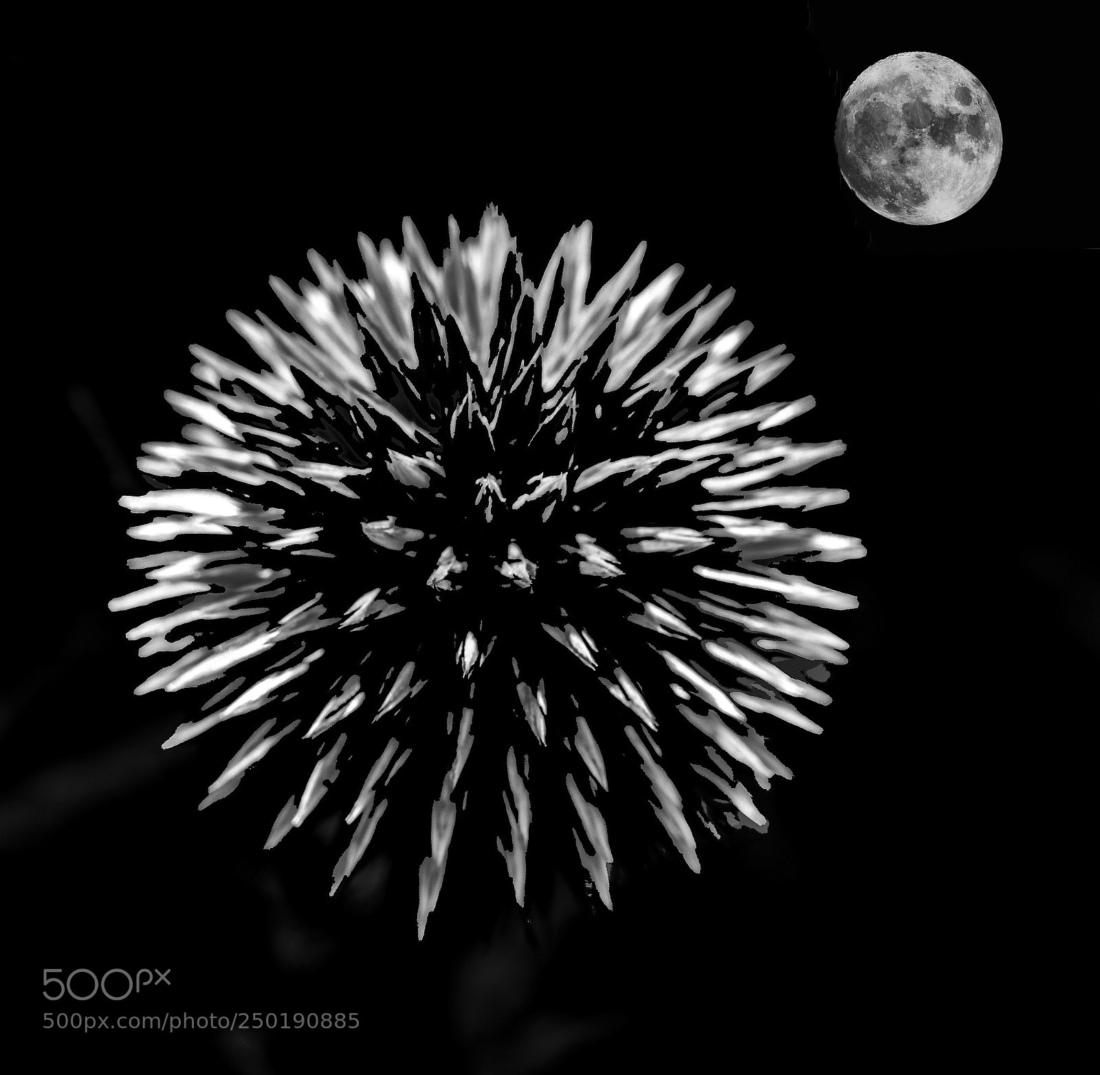 Canon EOS 5DS sample photo. Moon glow photography