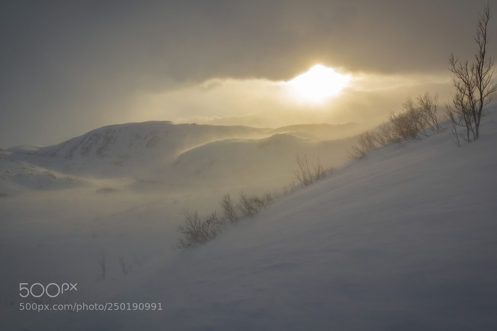 Canon EOS 550D (EOS Rebel T2i / EOS Kiss X4) sample photo. Arctic spring photography