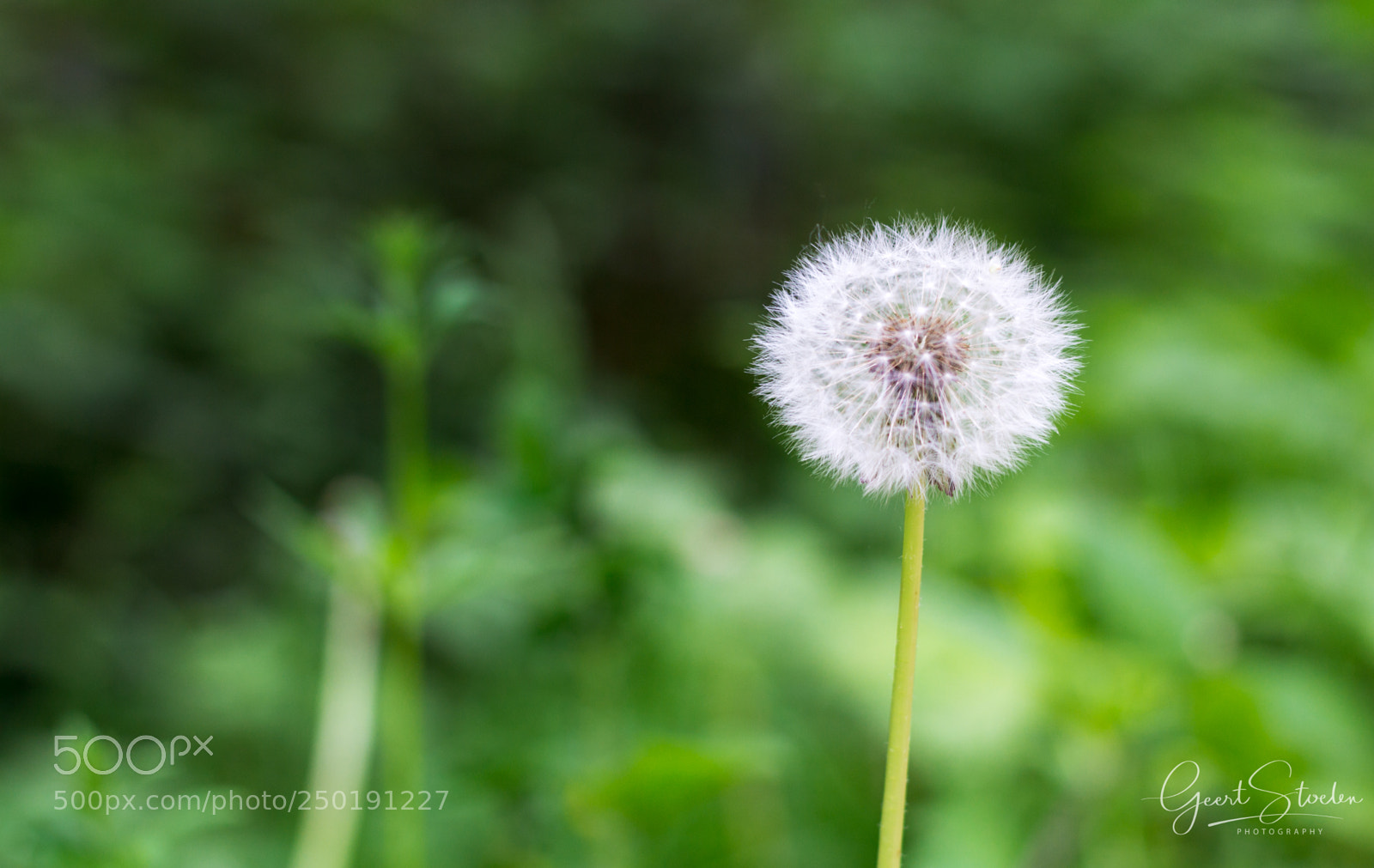 Canon EOS 60D sample photo. Spring time photography