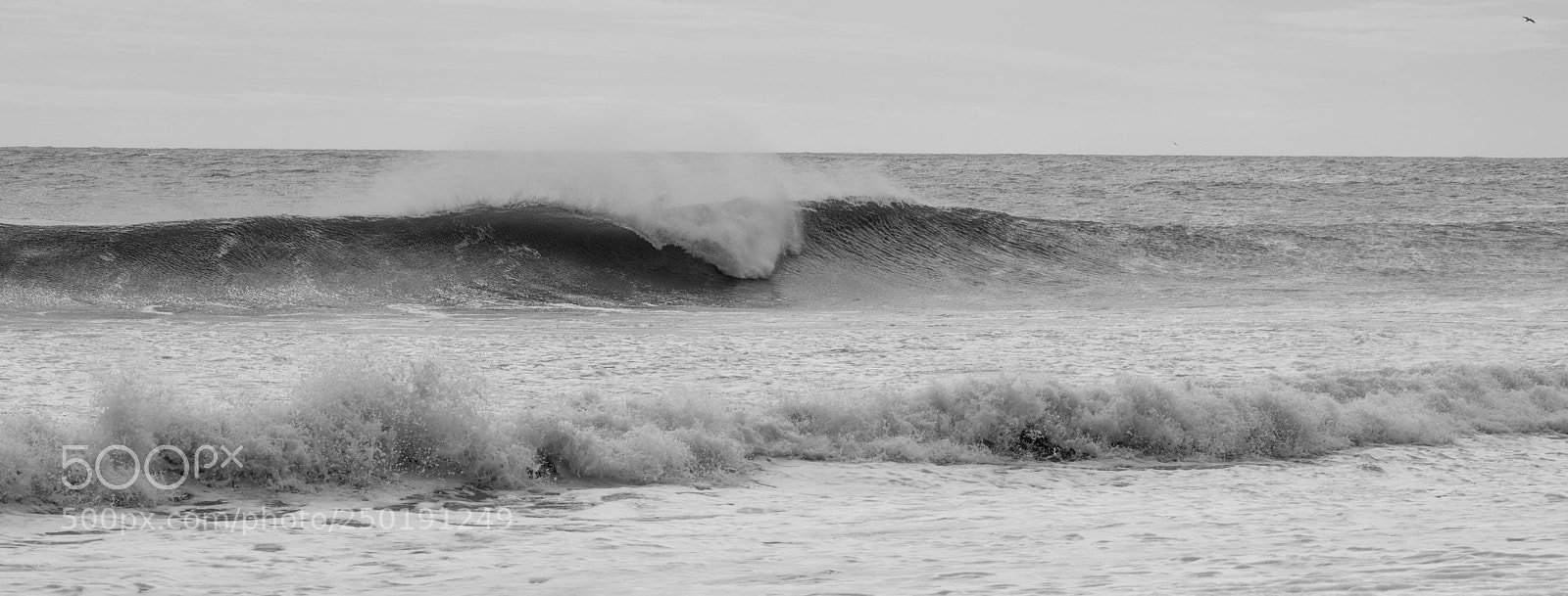 Nikon D3300 sample photo. Cresting wave photography