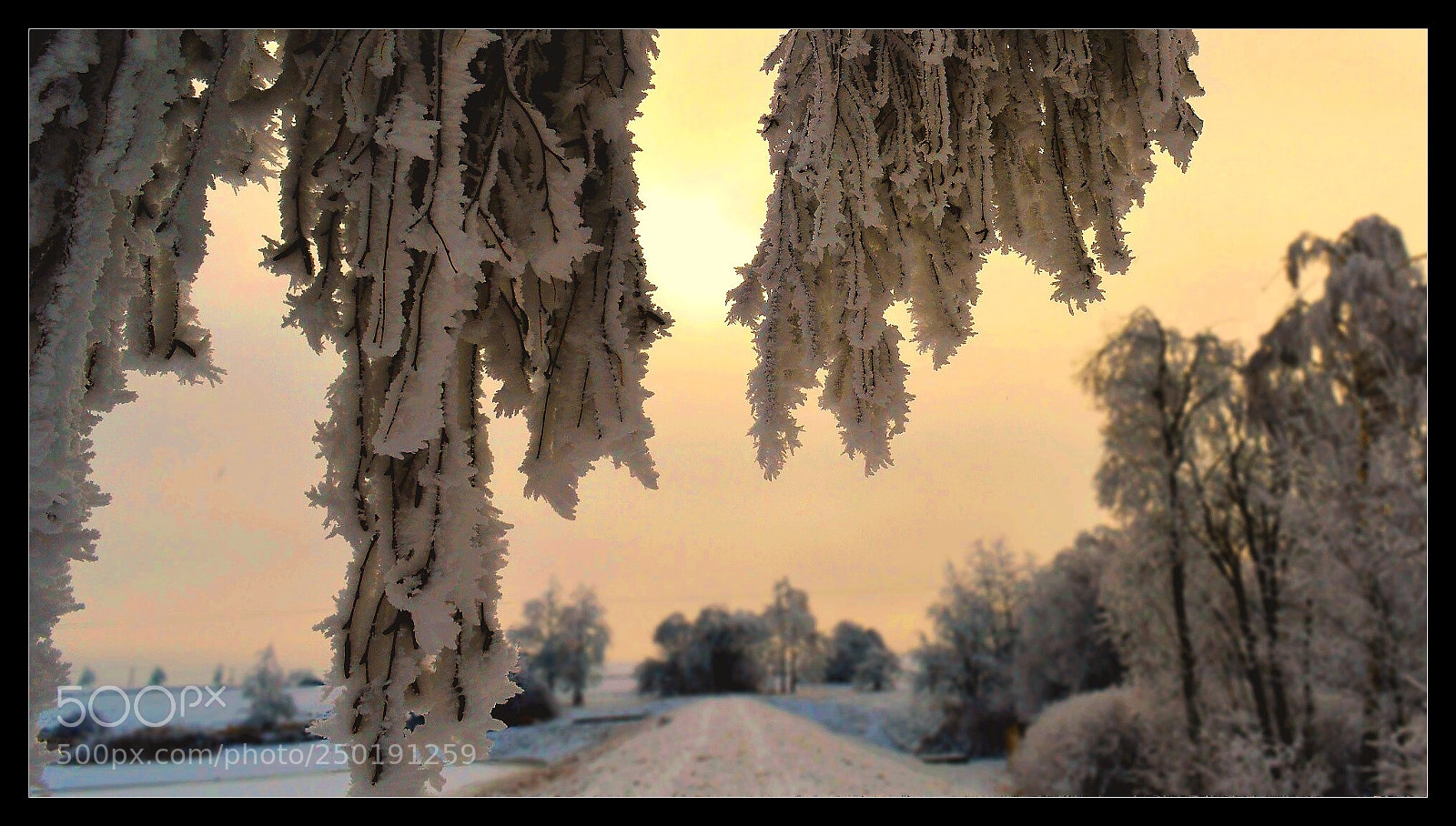 Nikon D3200 sample photo. Winter scenery photography