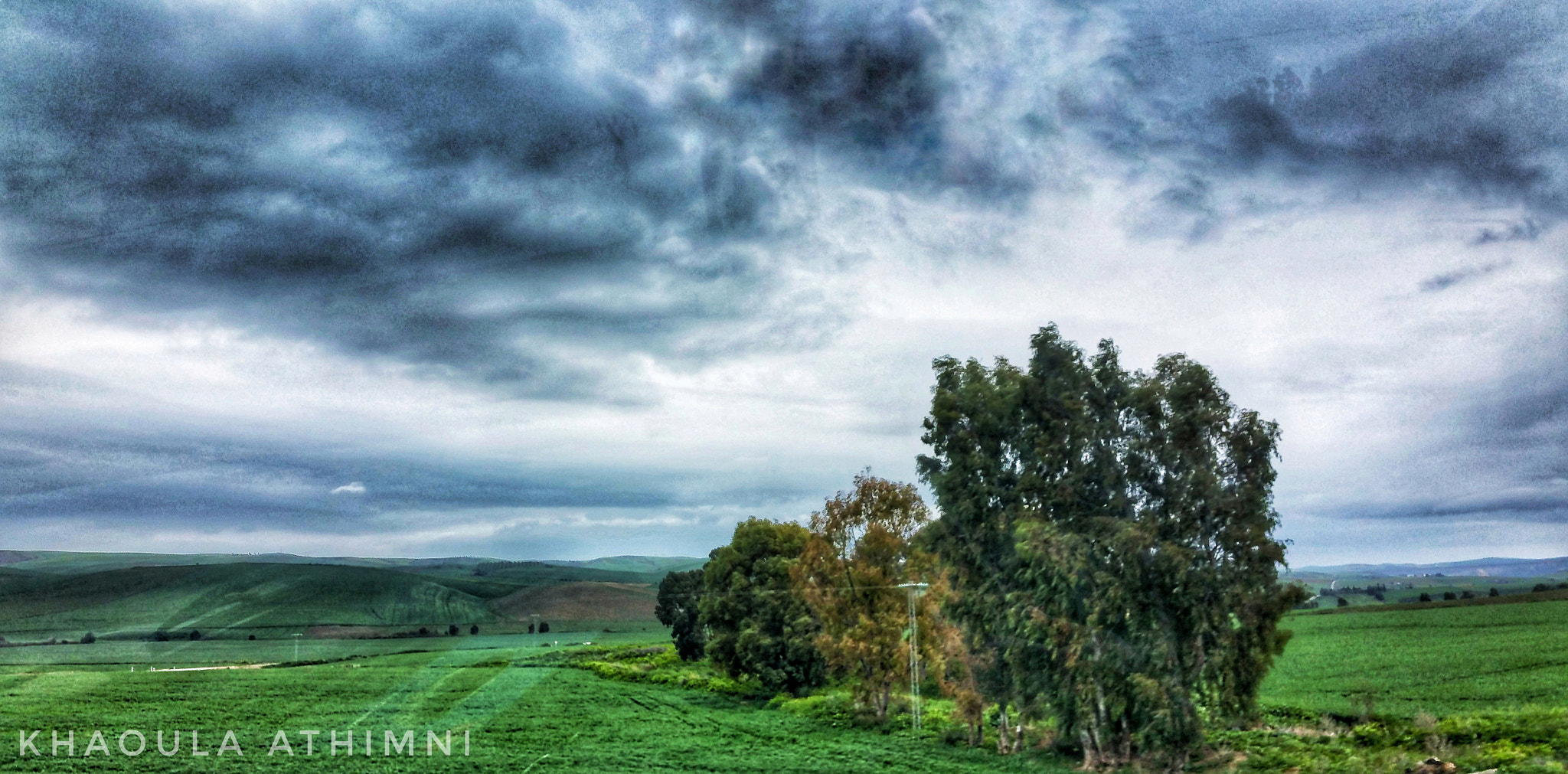 Samsung Galaxy S5 LTE-A sample photo
