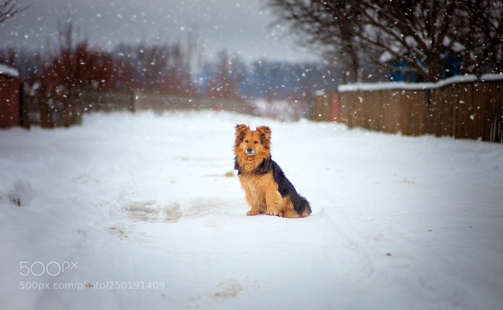 Canon EOS 5D Mark II sample photo. ... photography