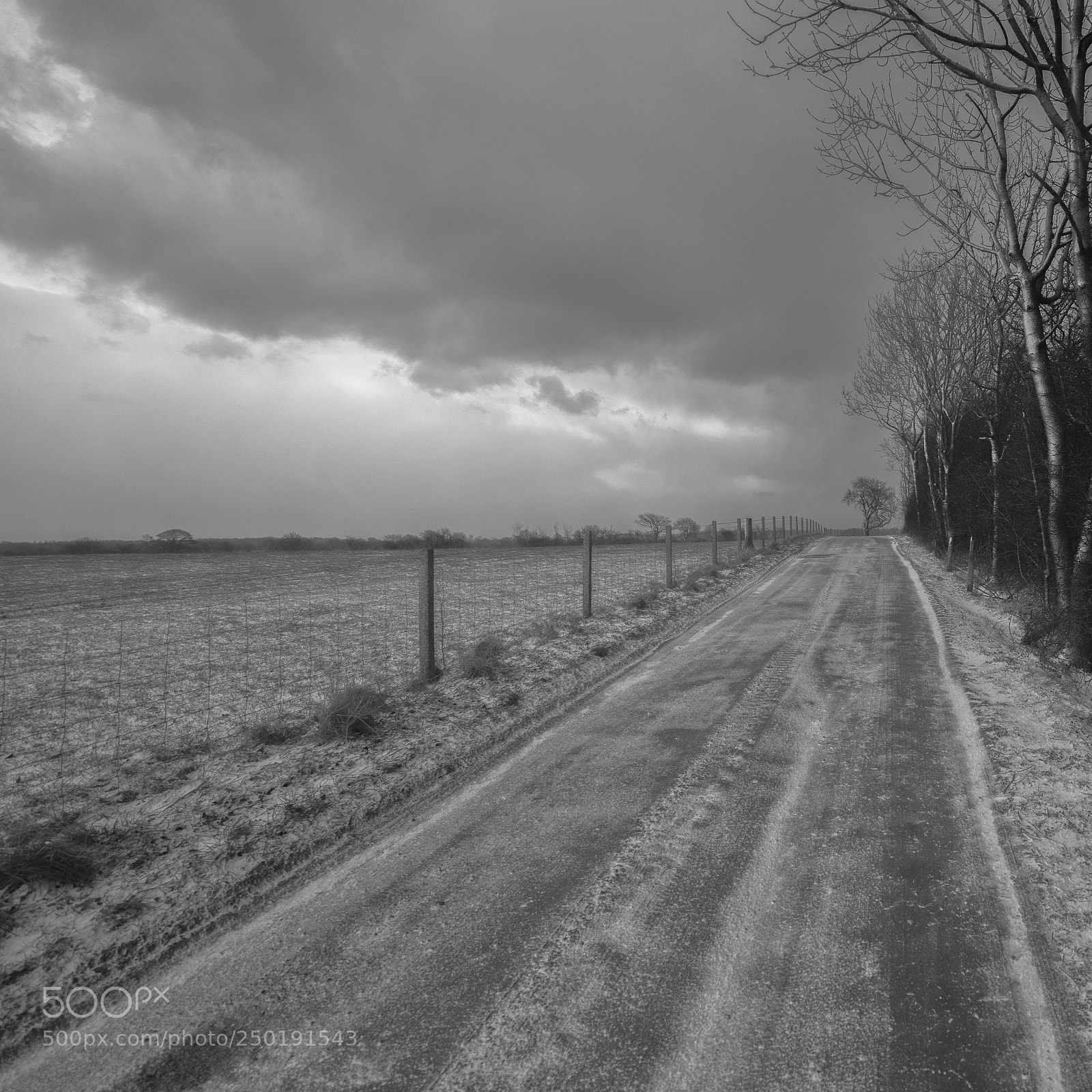 Sony a7R II sample photo. But where did toto photography