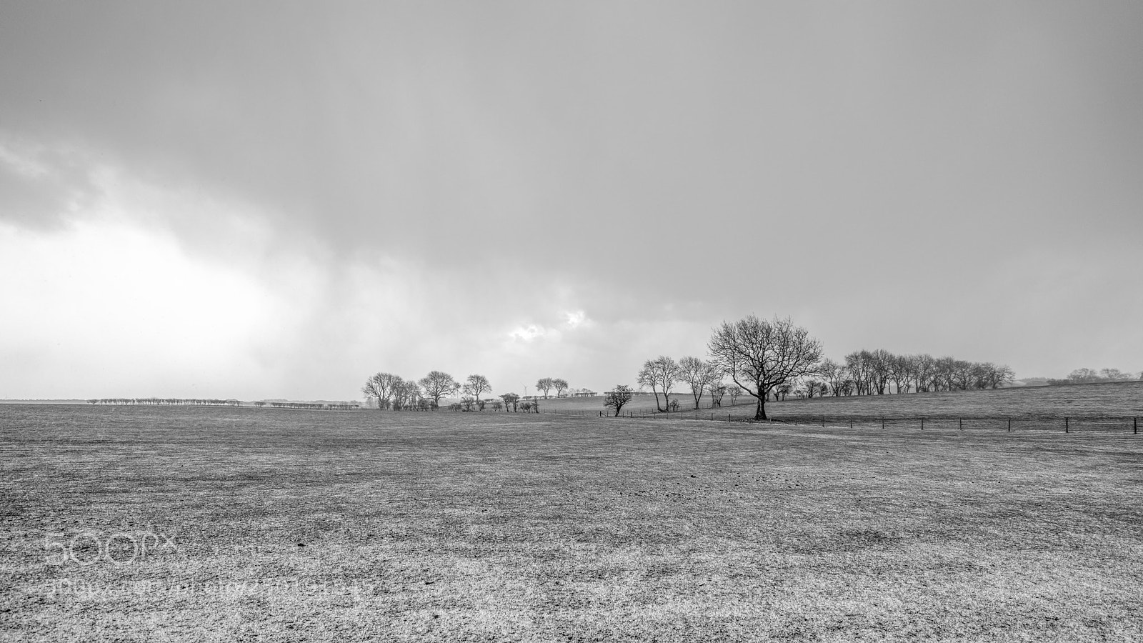 Sony a7R II sample photo. But where did toto photography