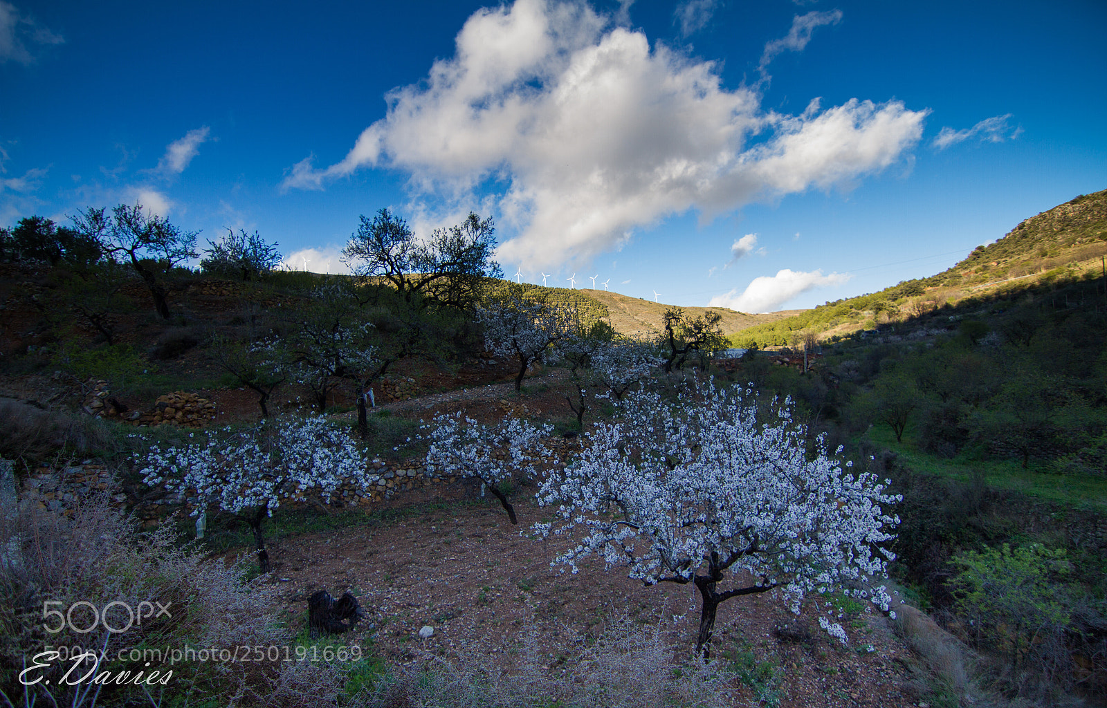 Canon EOS 7D sample photo. El marchal de san photography