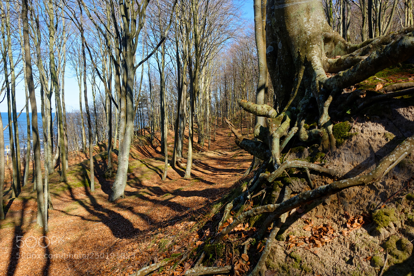 Nikon D7100 sample photo. By the baltic sea photography