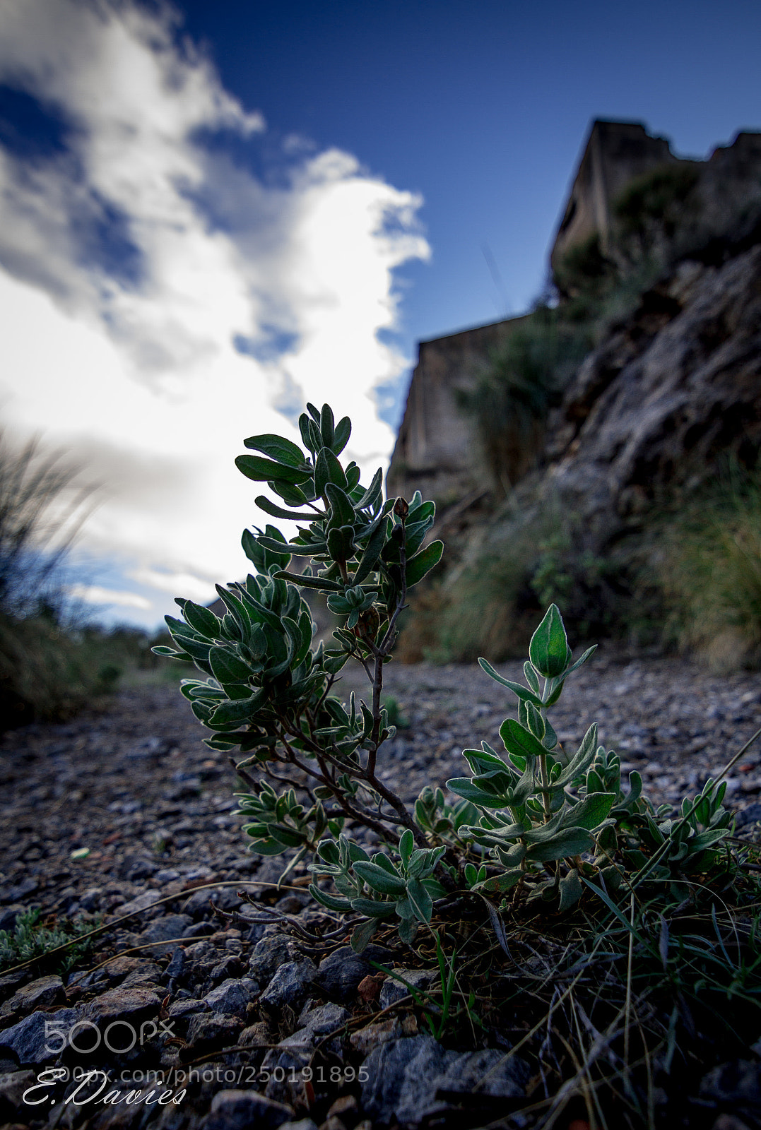 Canon EOS 7D sample photo. Minas de almería photography