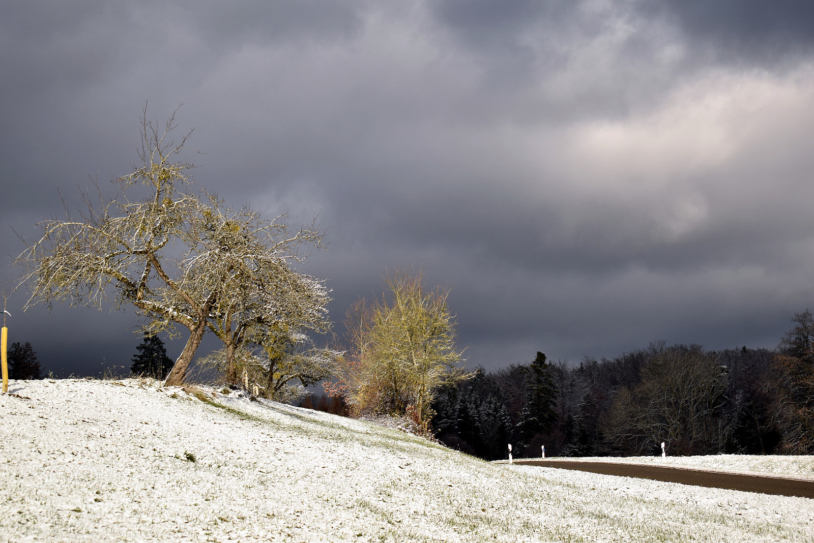 Nikon D3300 sample photo. Frozen photography