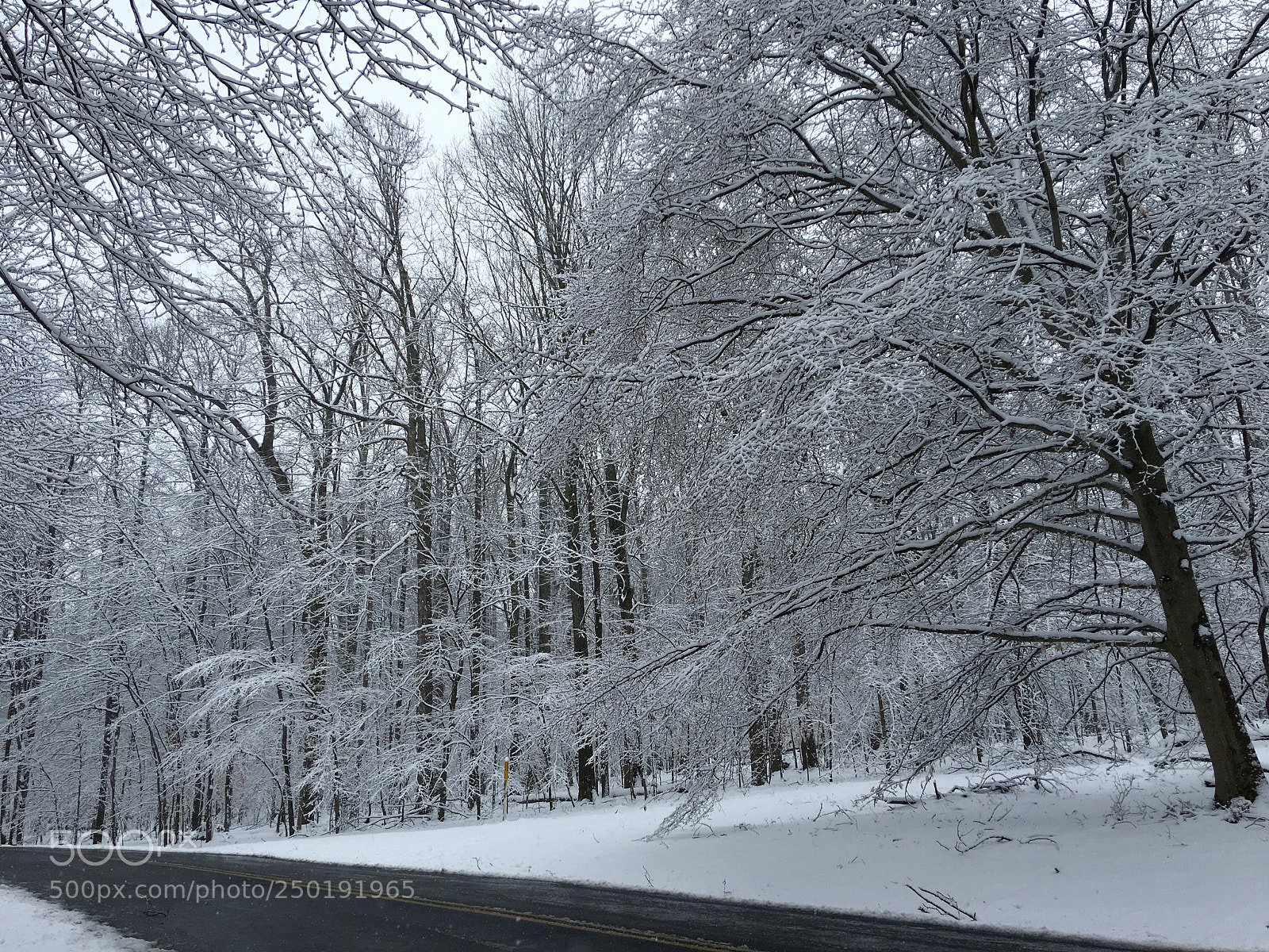 Apple iPhone 6s Plus sample photo. The black hill park photography