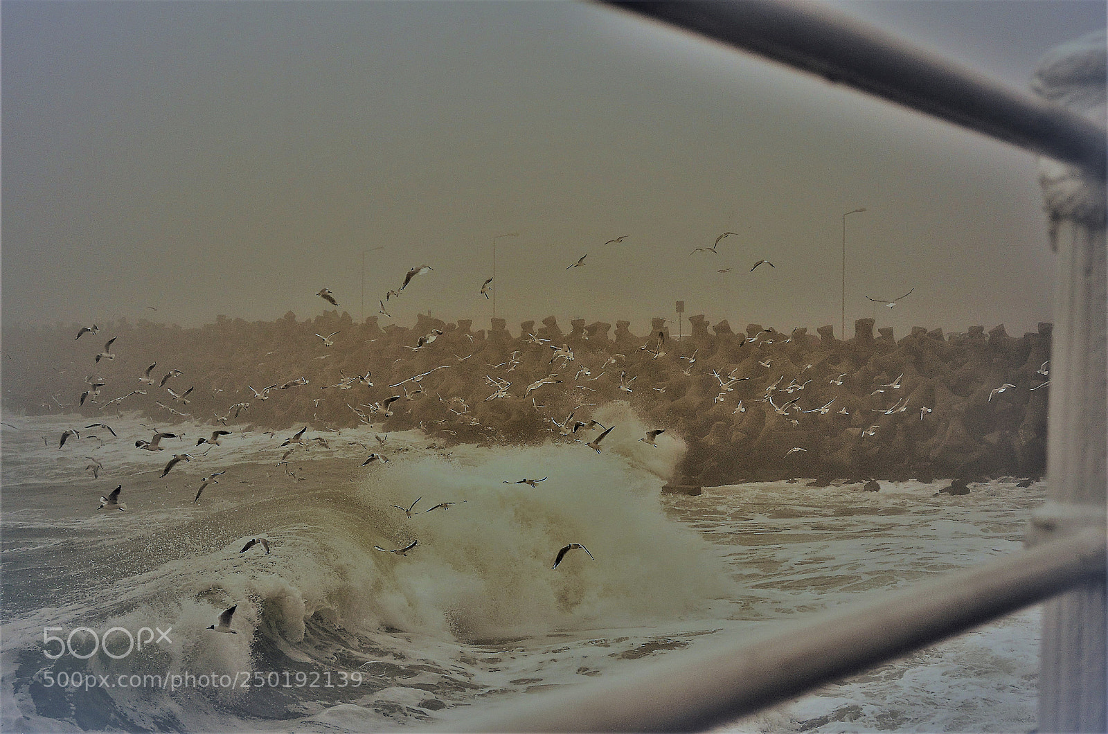 Nikon D5100 sample photo. Fog&storm photography