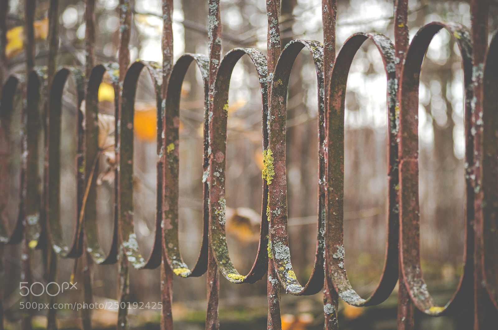 Nikon D5100 sample photo. Rusty fence photography