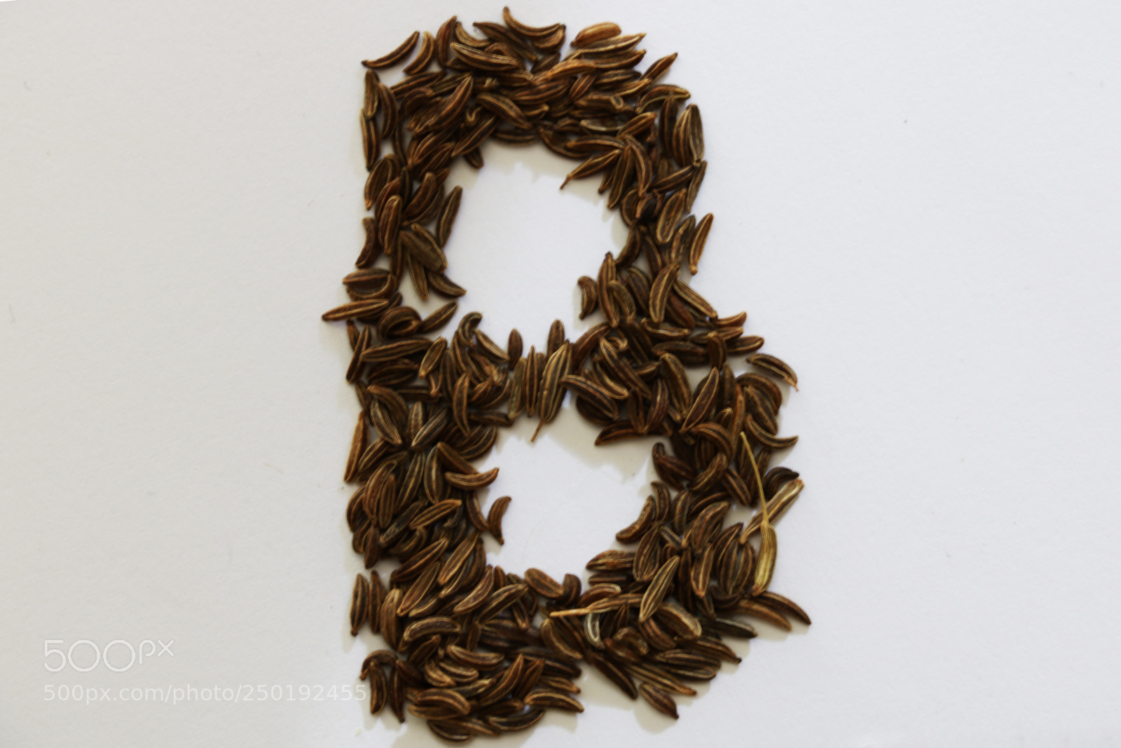 Canon EOS 750D (EOS Rebel T6i / EOS Kiss X8i) sample photo. Latin letter b on photography