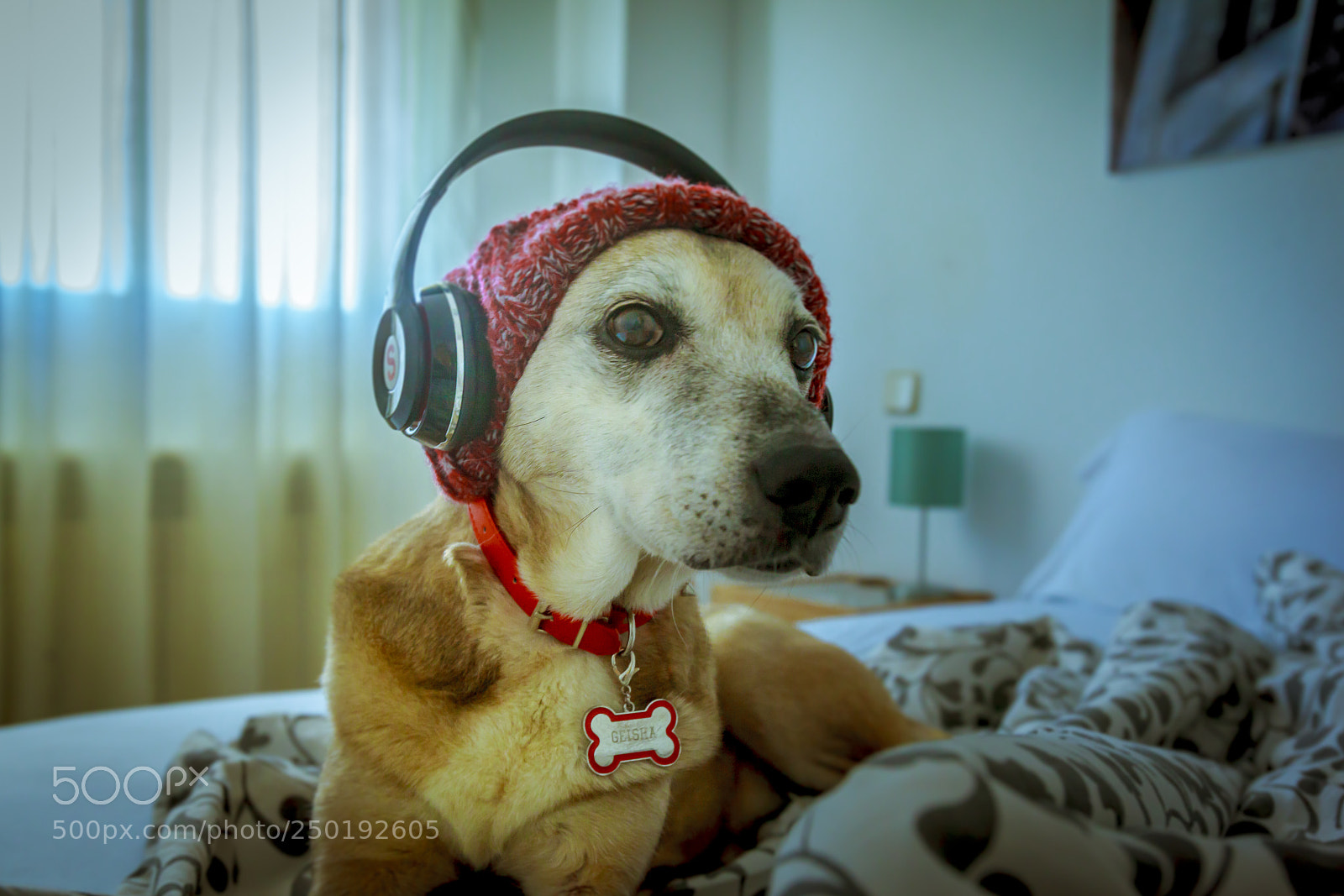 Canon EOS 5D Mark II sample photo. My favorite dj´ photography