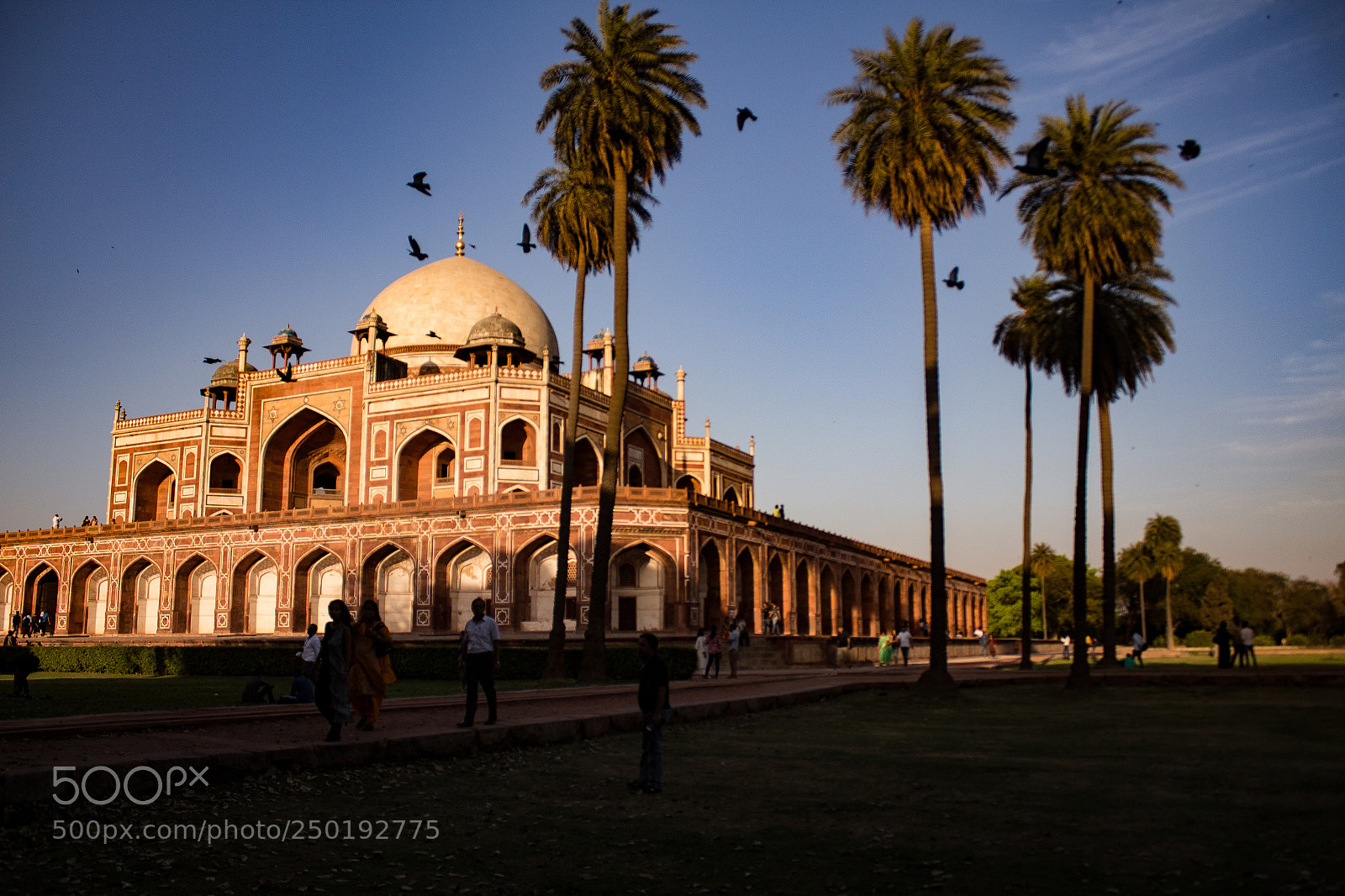 Canon EOS 700D (EOS Rebel T5i / EOS Kiss X7i) sample photo. Humayun tomb photography