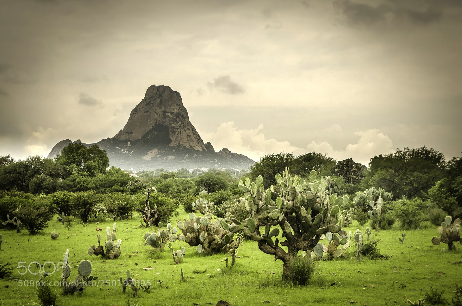 Nikon D5100 sample photo. Peña de bernal photography