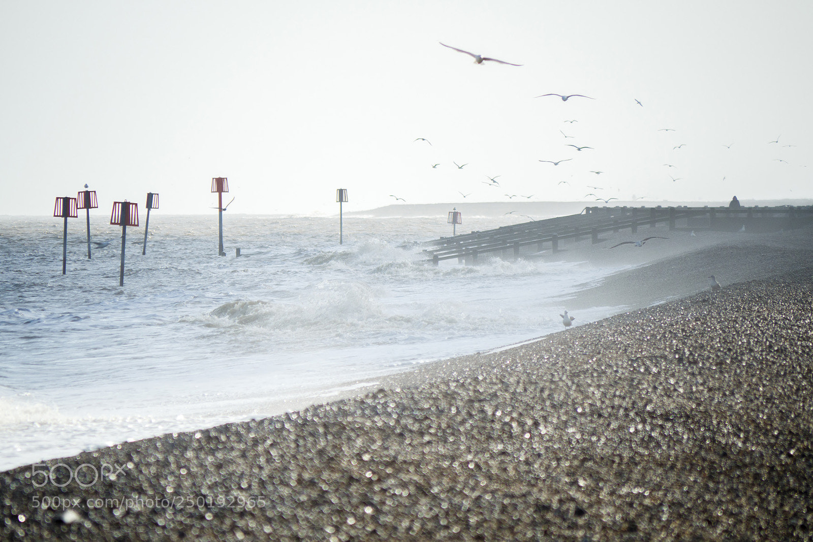 Olympus OM-D E-M10 II sample photo. Aldeburgh beach photography