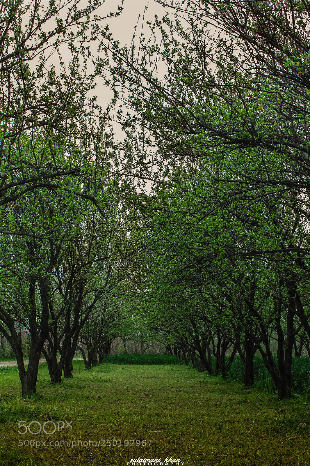 Canon EOS 60D sample photo. Untitled photography