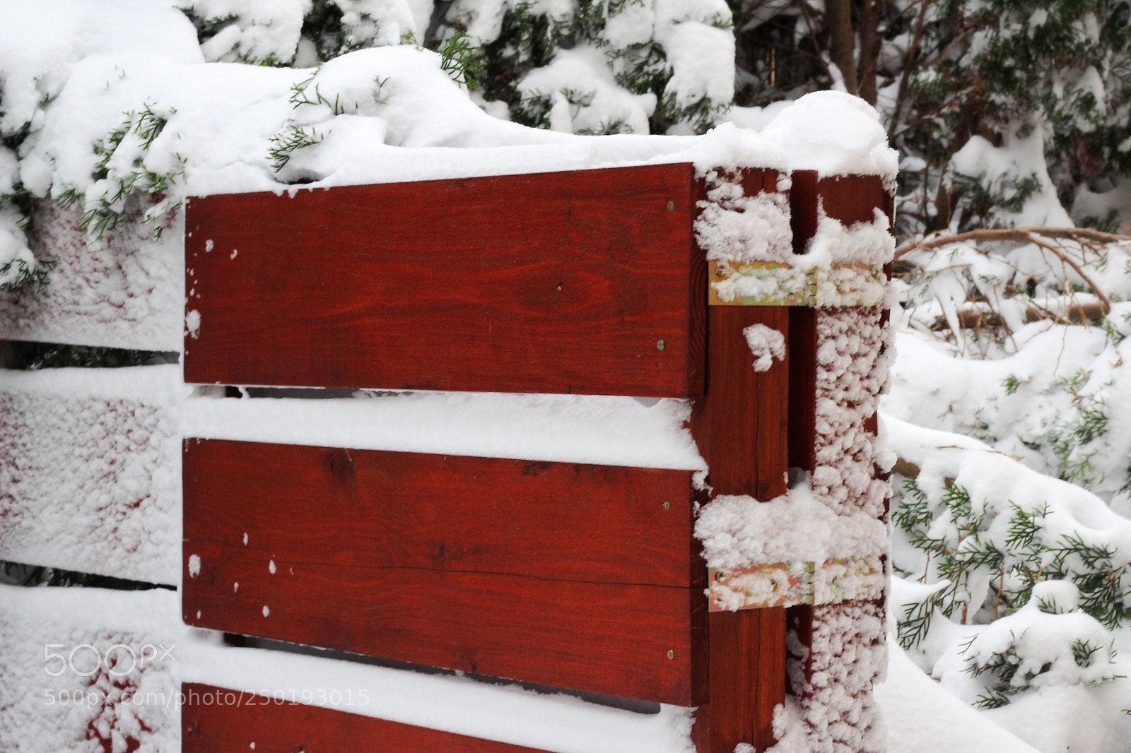 Canon EOS 1300D (EOS Rebel T6 / EOS Kiss X80) sample photo. Snowy fence ❄️ photography