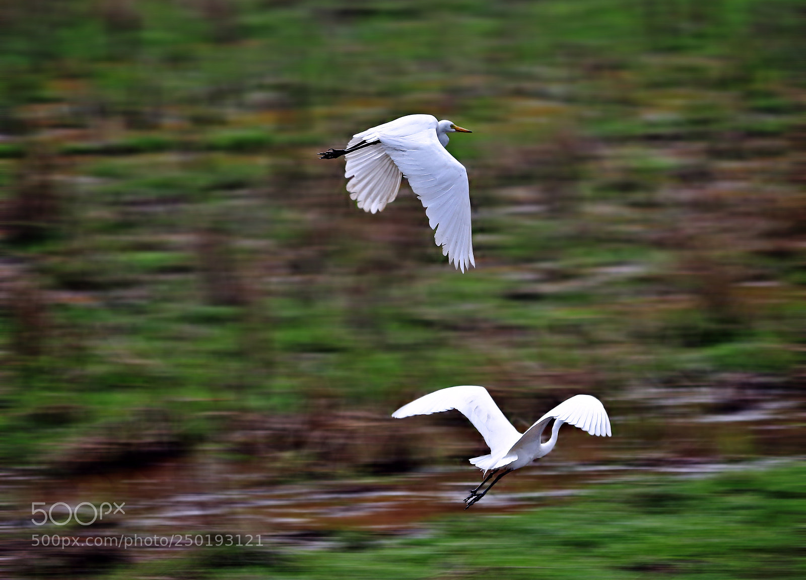 Canon EOS 700D (EOS Rebel T5i / EOS Kiss X7i) sample photo. Panning photography