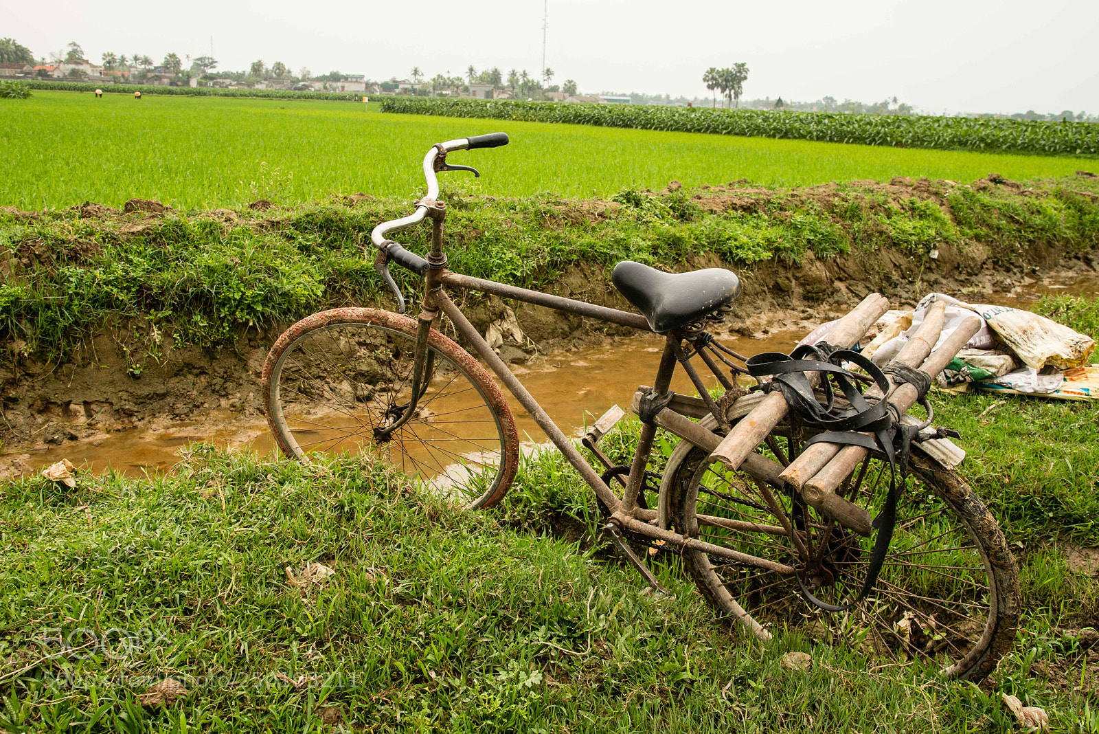 Nikon D800 sample photo. Marché vietnamien photography