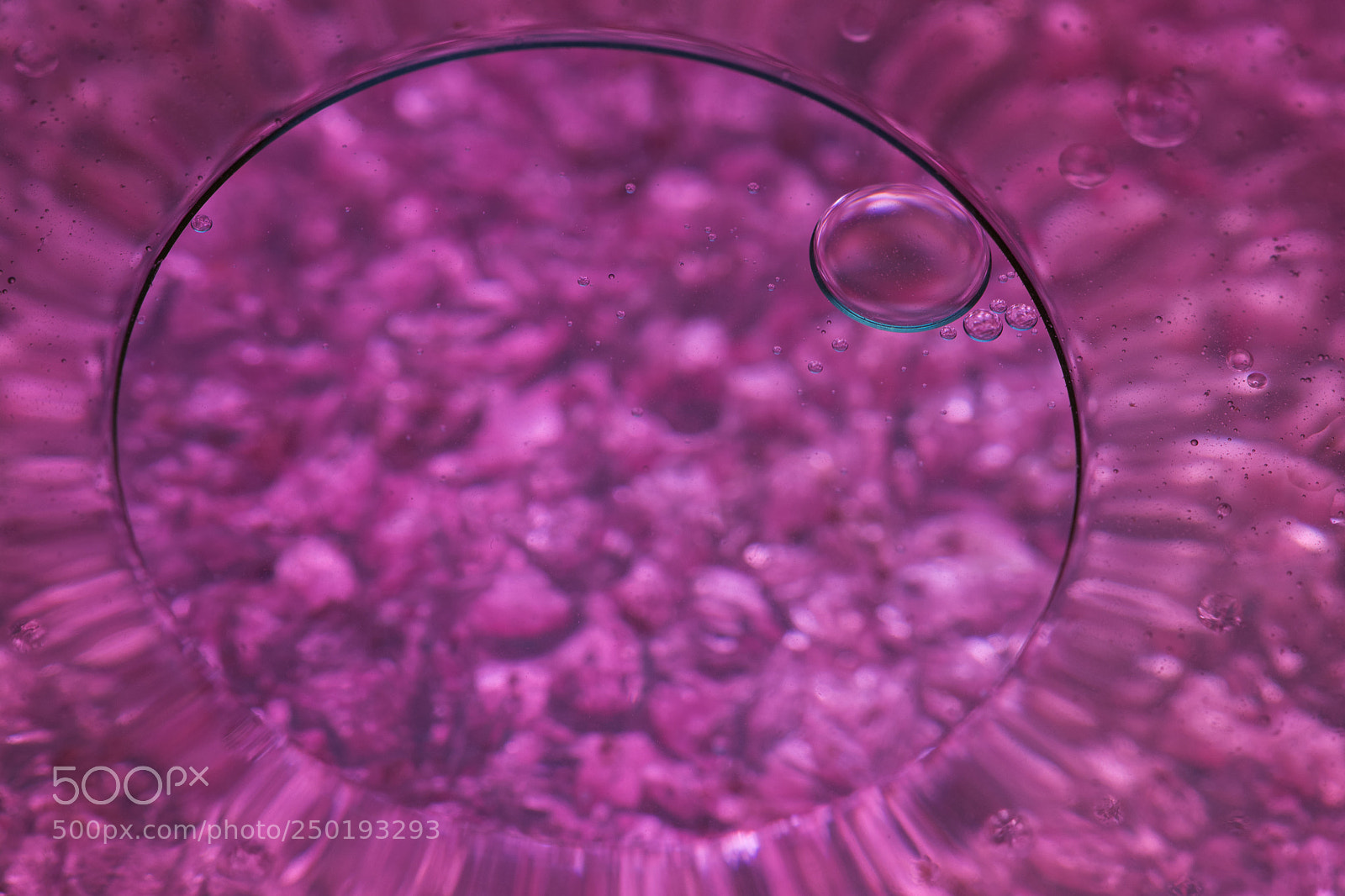 Nikon D7100 sample photo. Drops purple photography