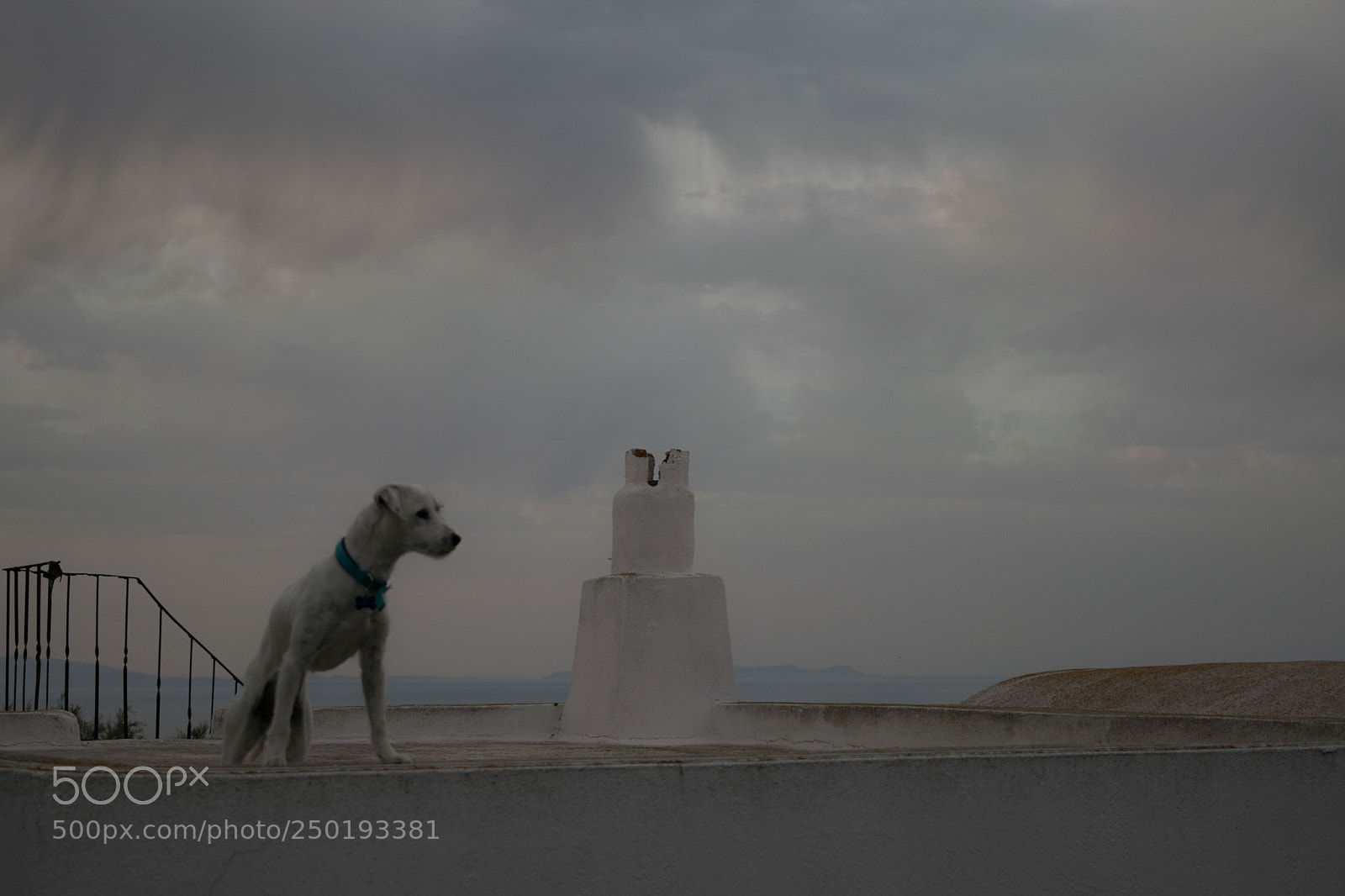 Nikon D3300 sample photo. On the roof top photography
