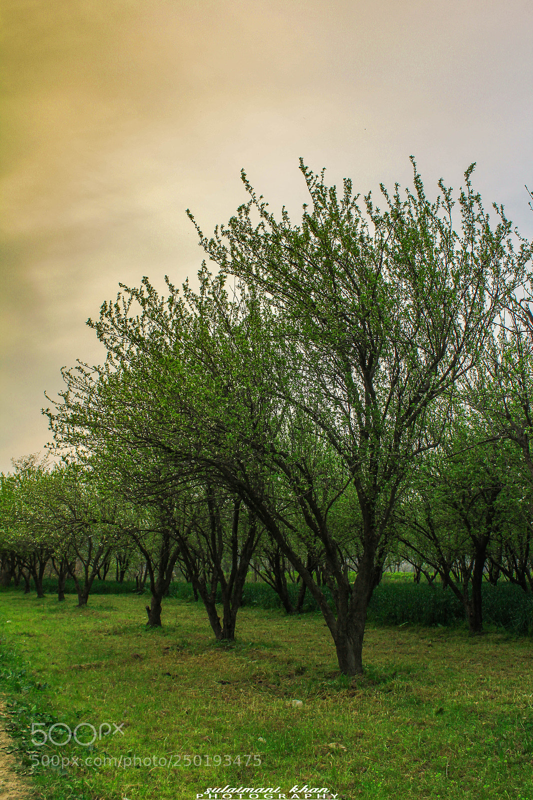 Canon EOS 60D sample photo. Untitled photography