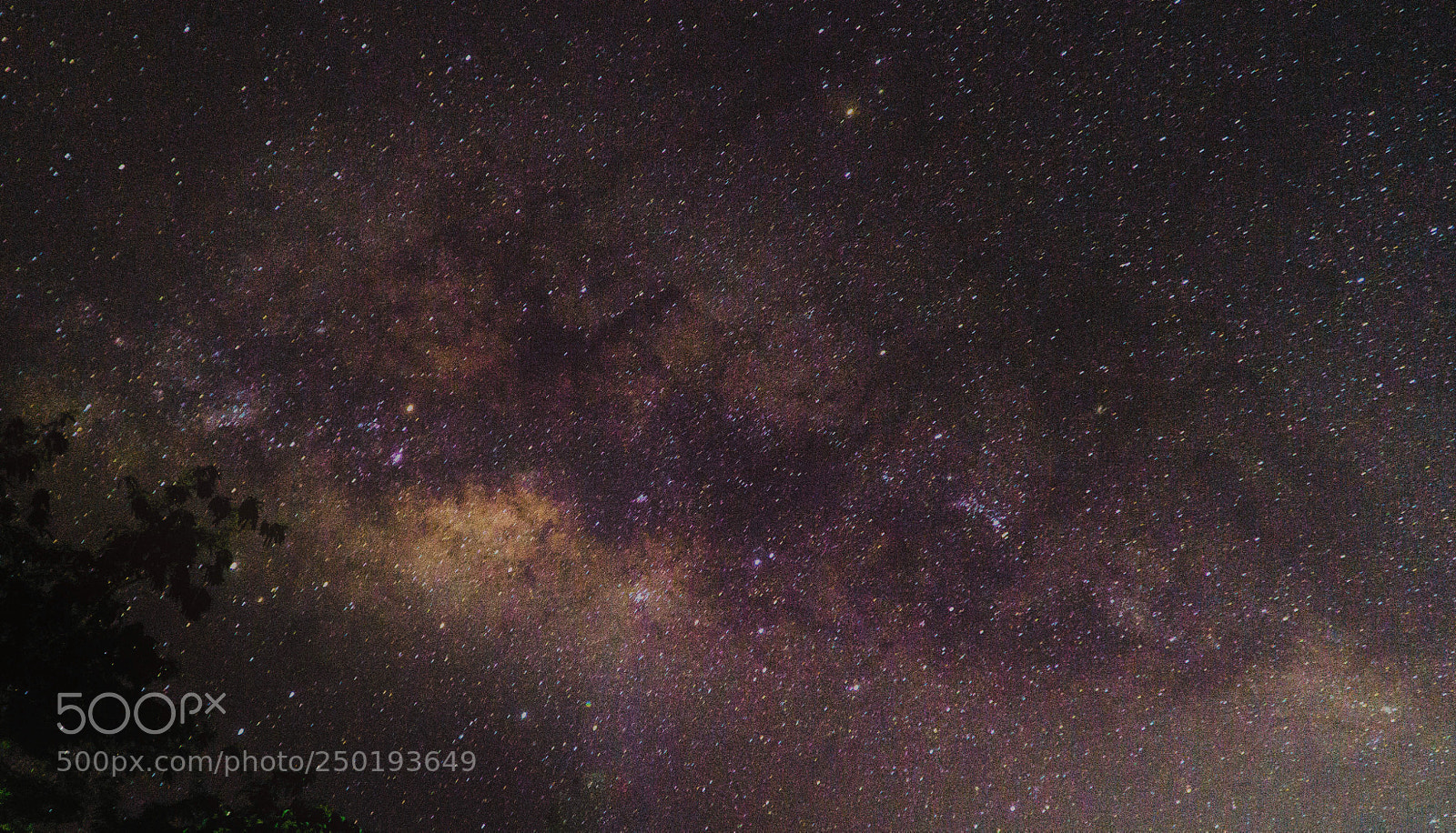 Sony a6000 sample photo. Milky way season is photography