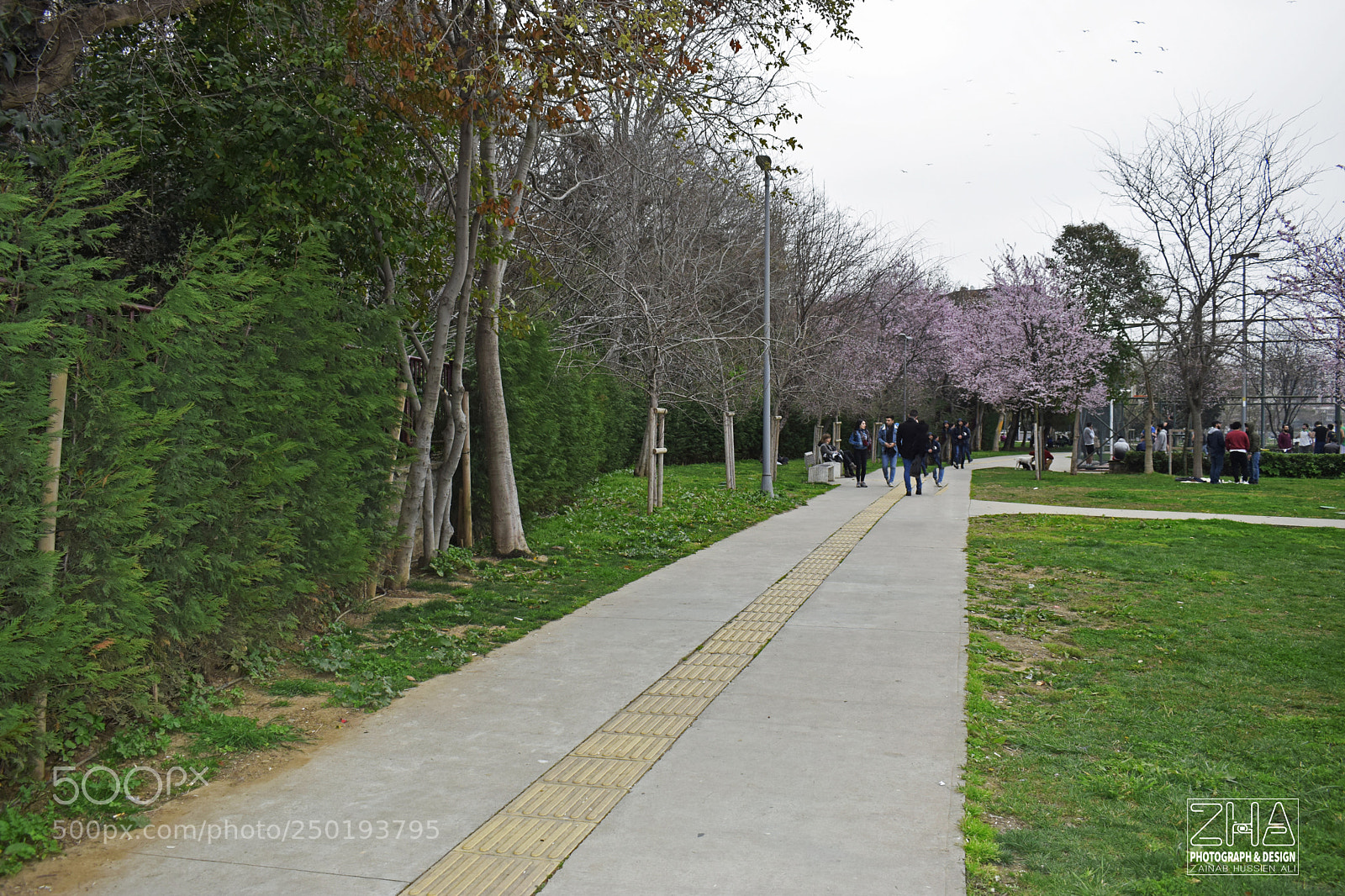 Nikon D5300 sample photo. اسطنبول / كاديكوي istanbul / kadiköy photography