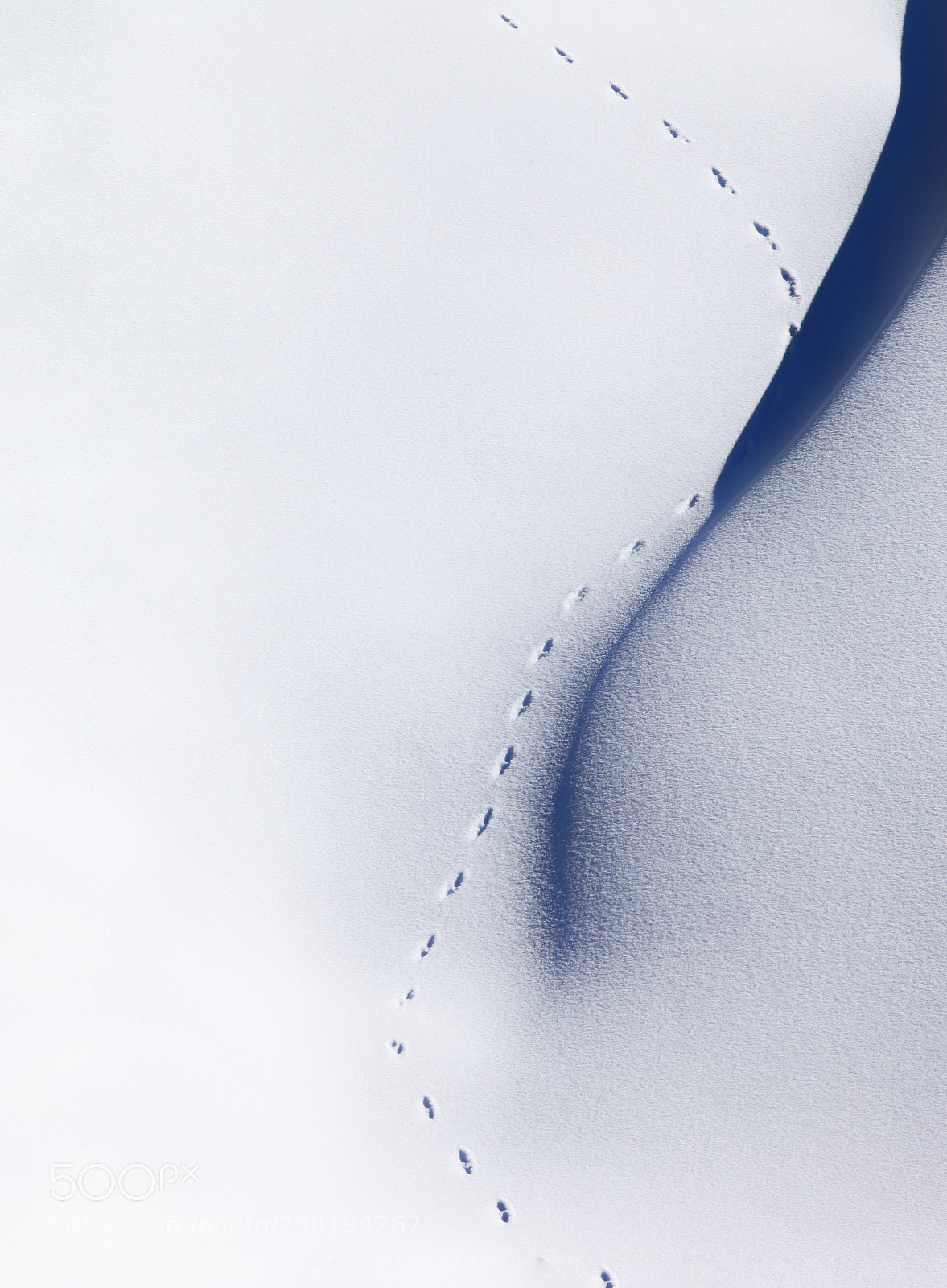 Canon EOS 5D Mark II sample photo. Tracks photography