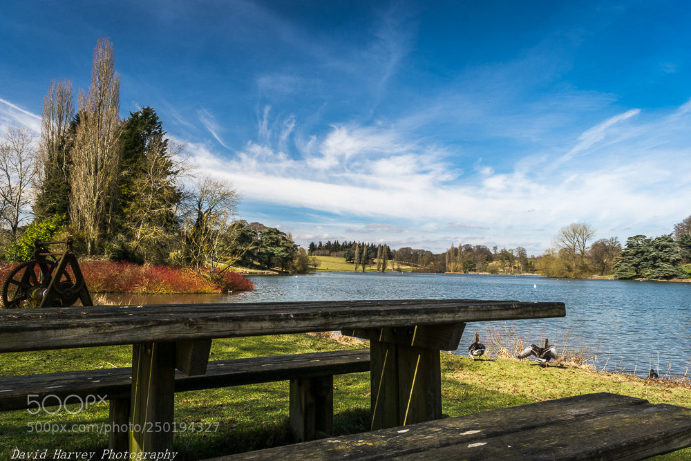 Nikon D7200 sample photo. Time for a break photography