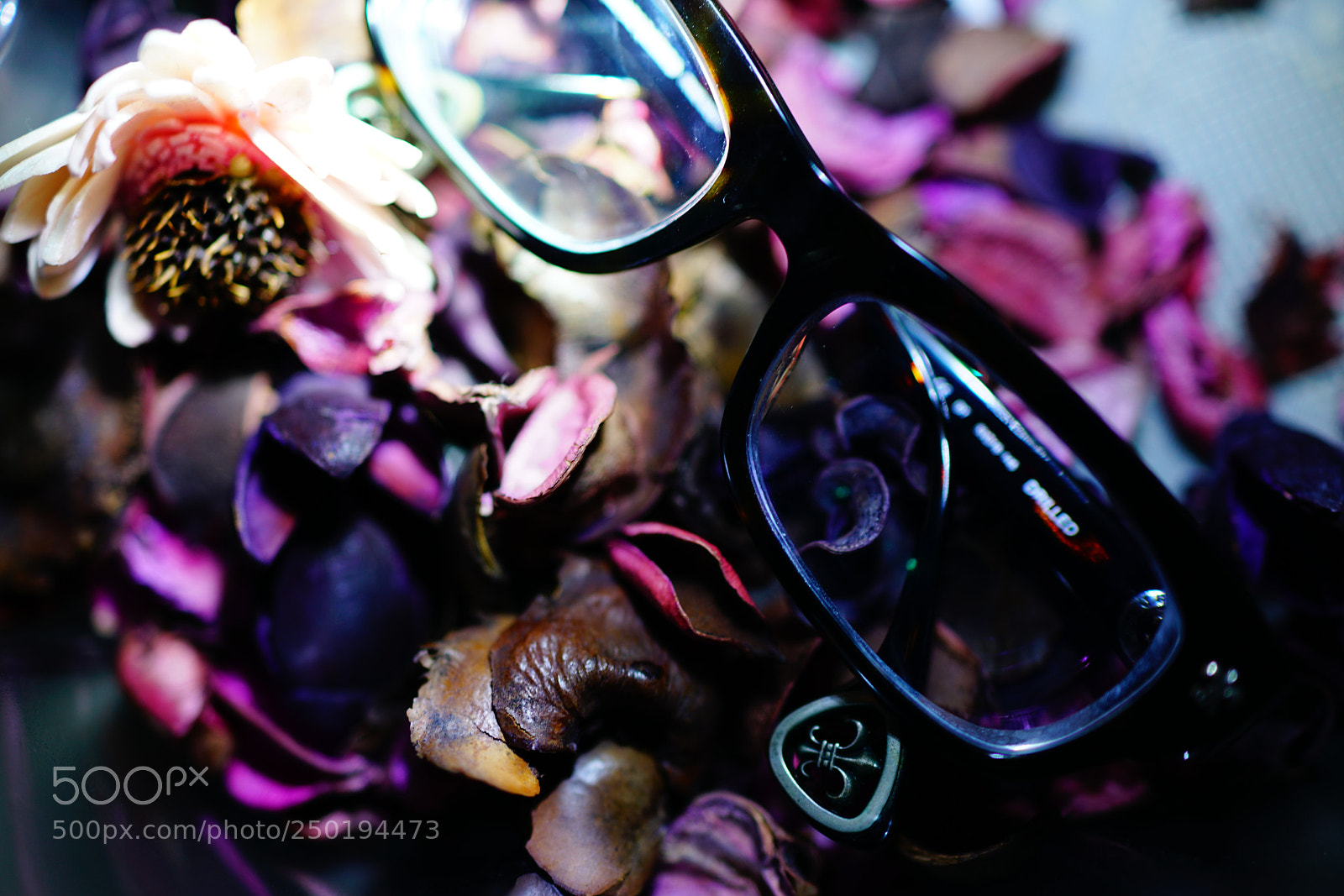 Sony Cyber-shot DSC-RX1R II sample photo. Kokko photography