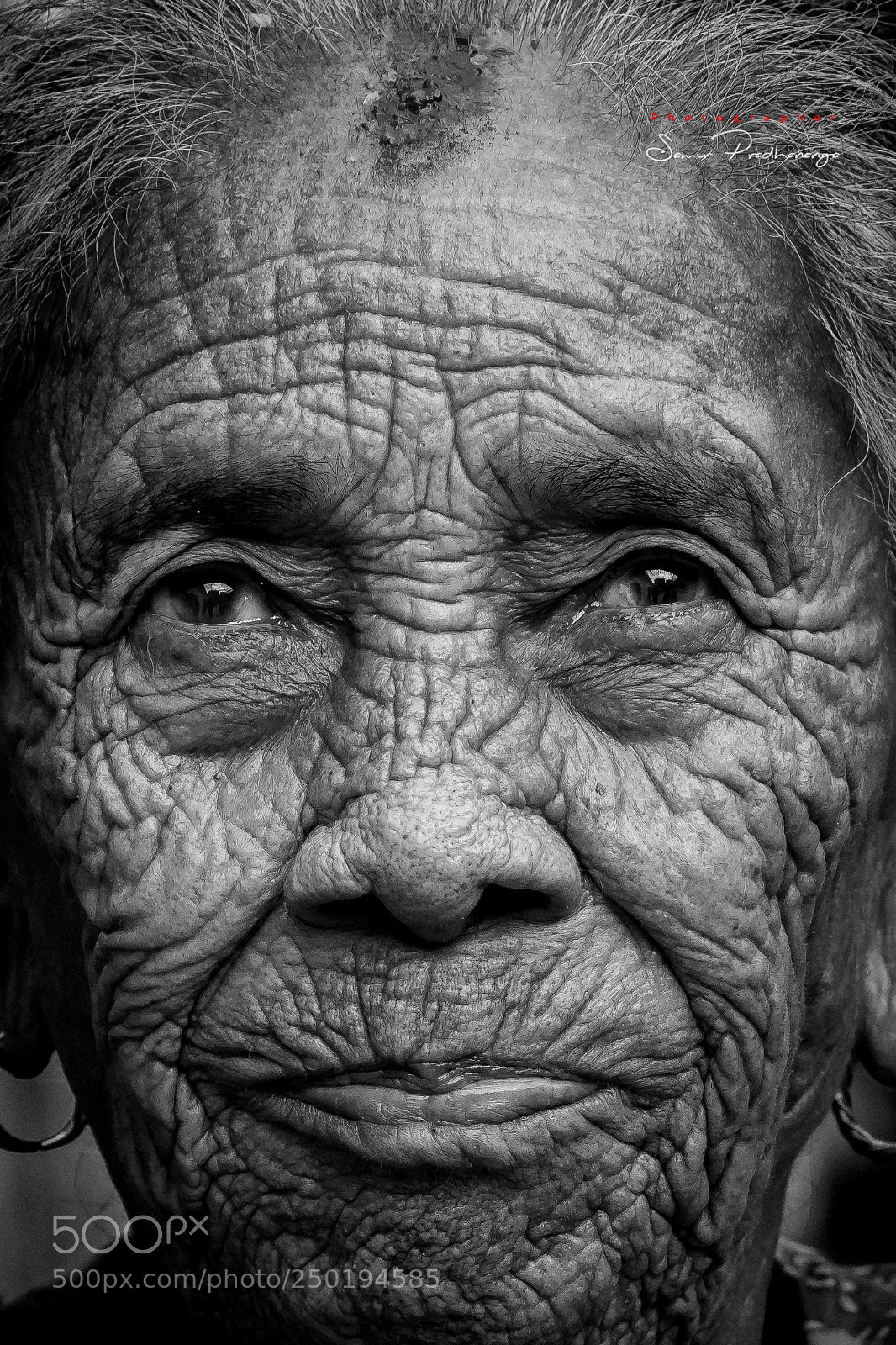 Nikon D7100 sample photo. Art of lines of photography