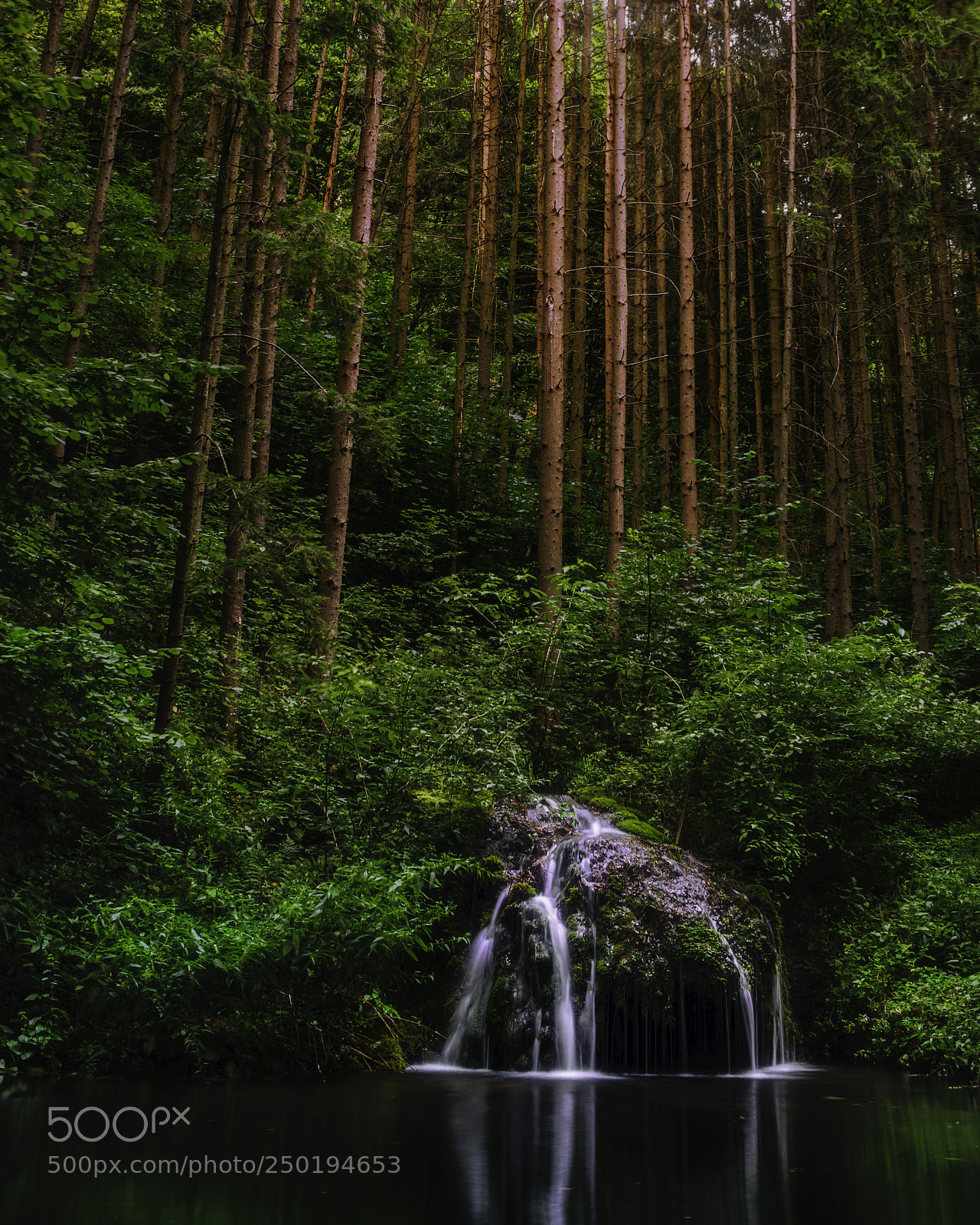 Nikon D3300 sample photo. Szalajka-valley's wonders photography