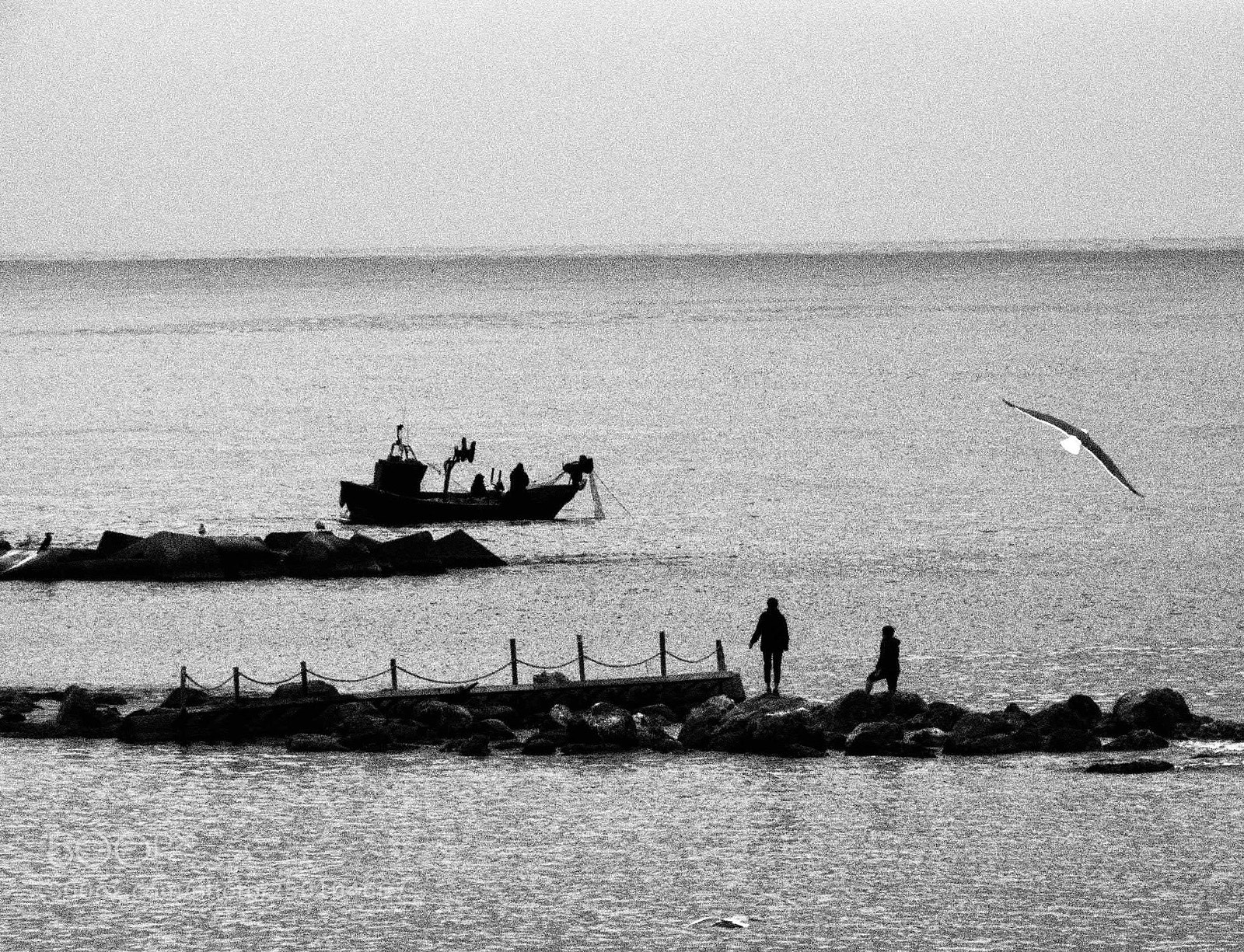 Olympus OM-D E-M5 II sample photo. Gent de mar photography