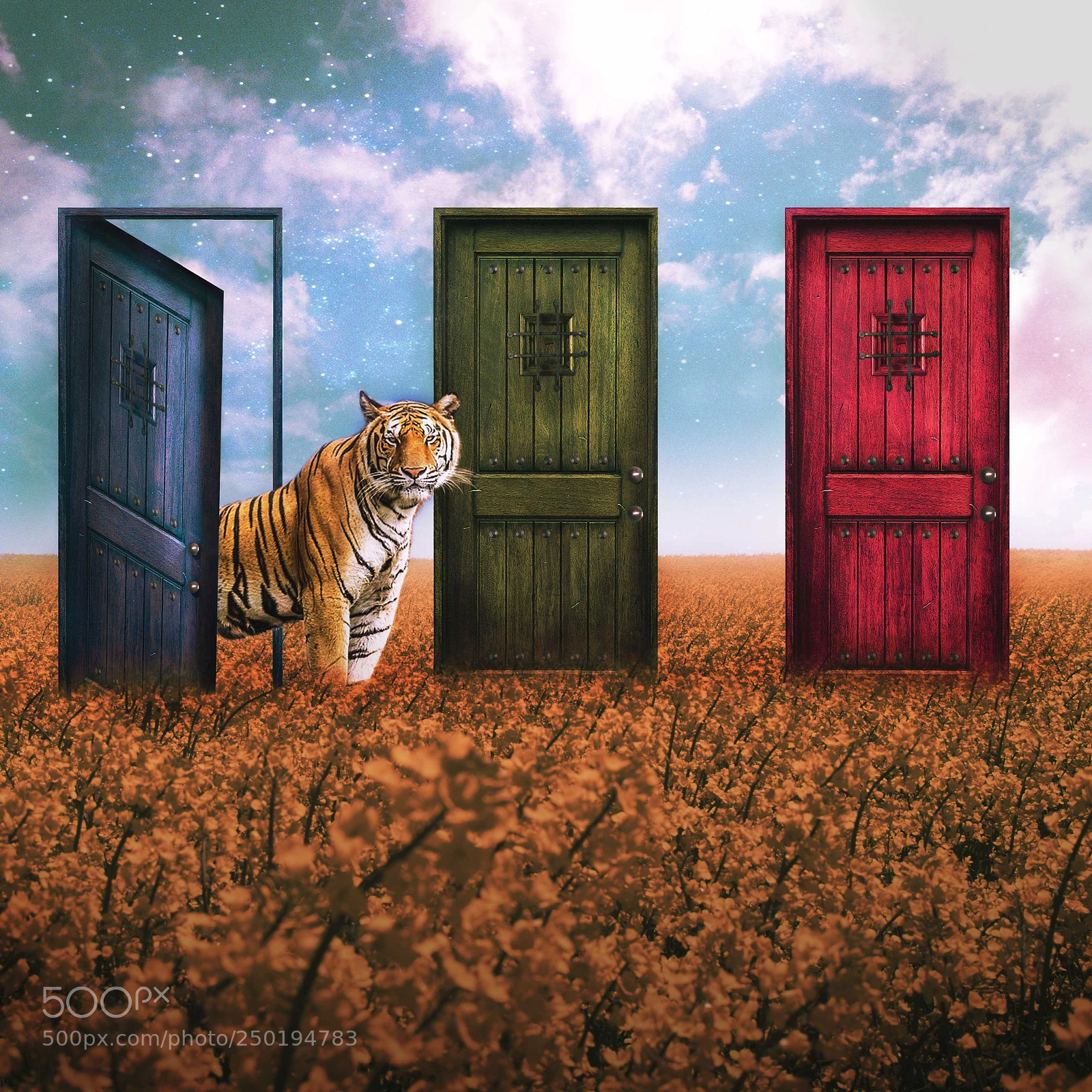 Nikon D5200 sample photo. Damas o tigres photography