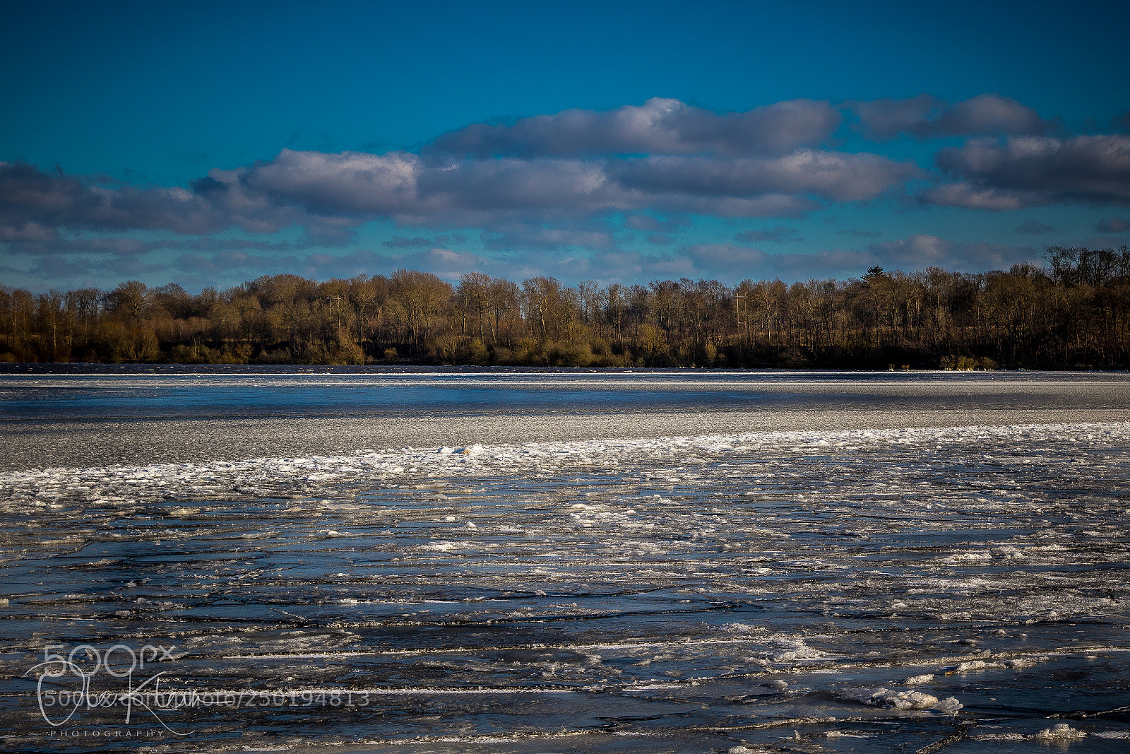 Canon EOS 7D Mark II sample photo. Bundsø photography